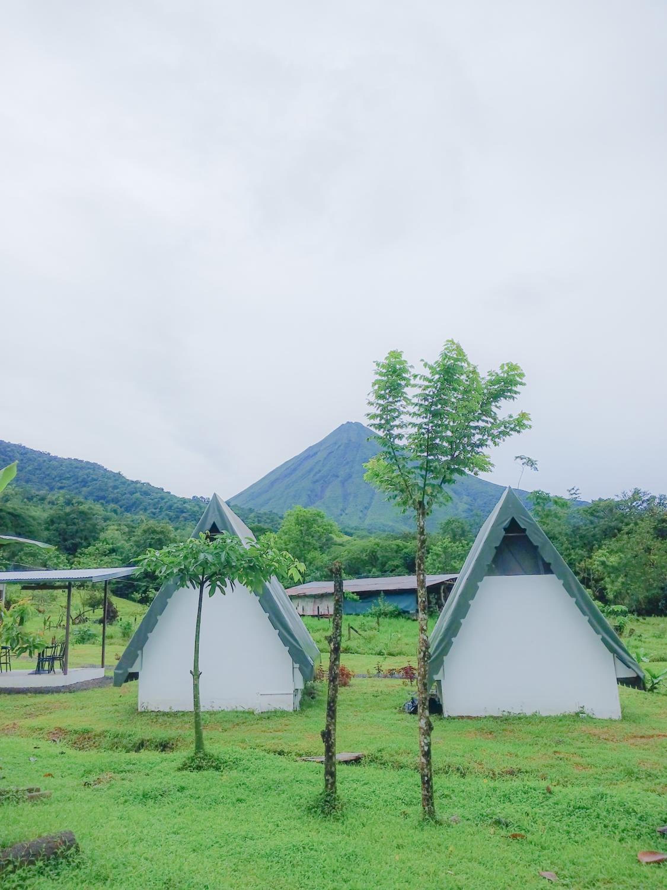 Flora Glamping de Abuela
