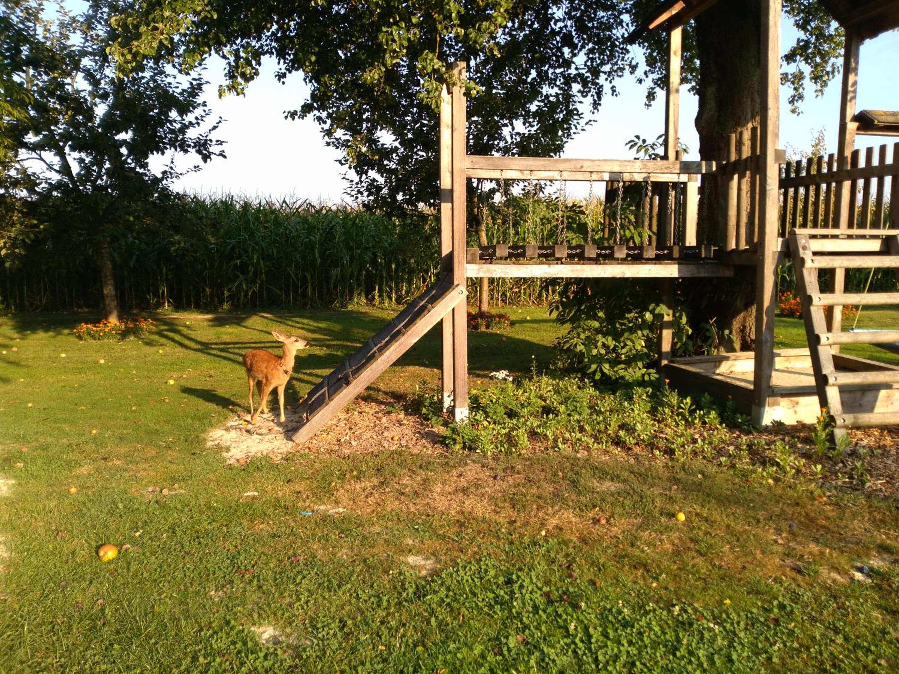 Photo 72