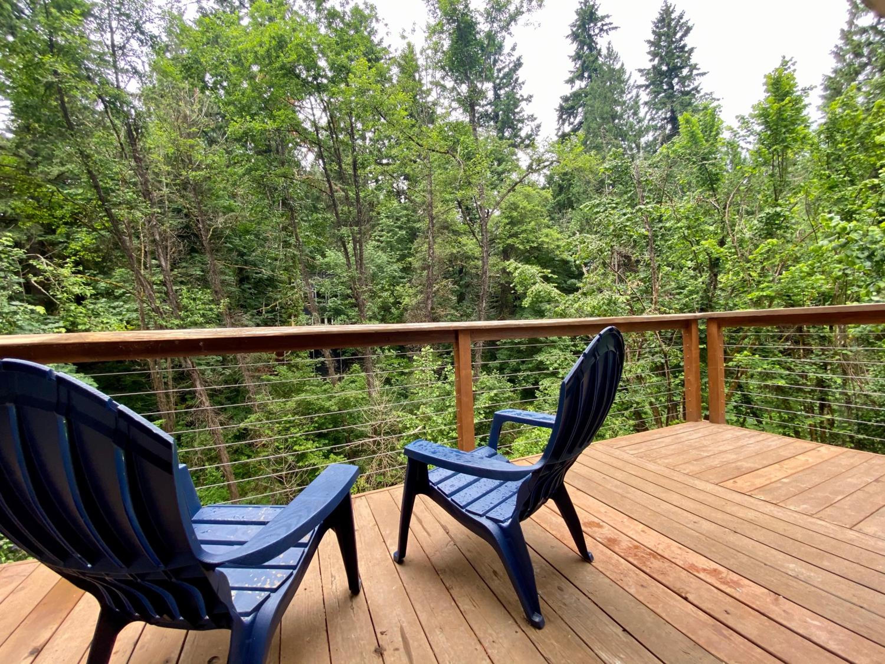 Creekside Cottage in the City view 4