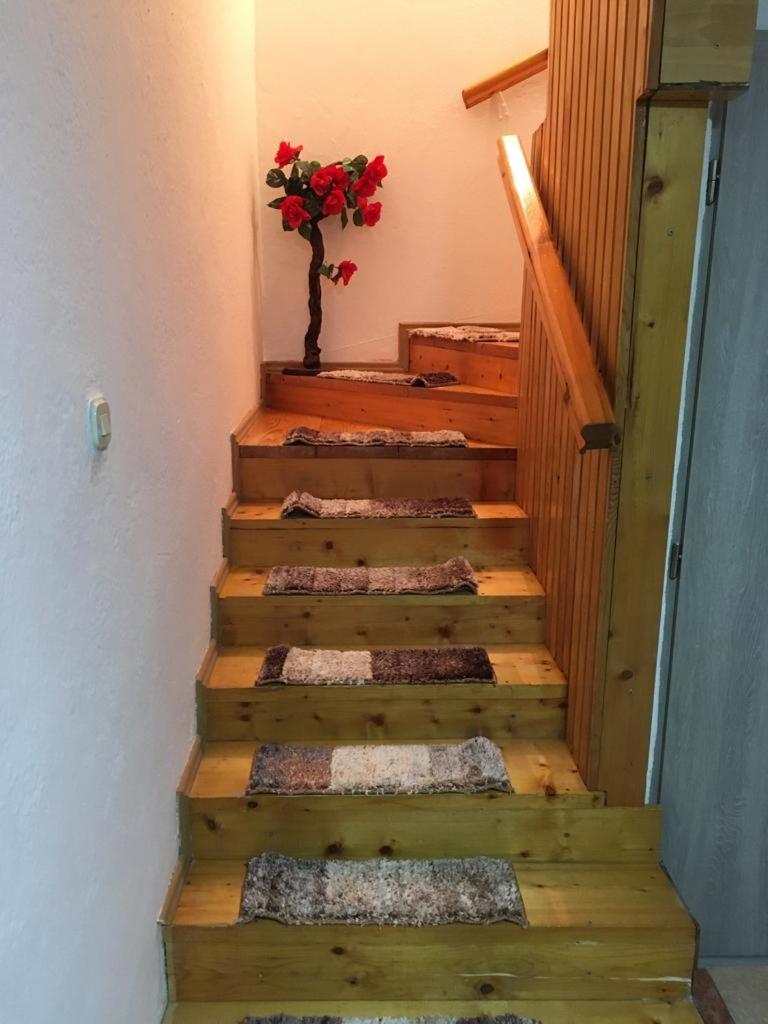 Apartman Lara