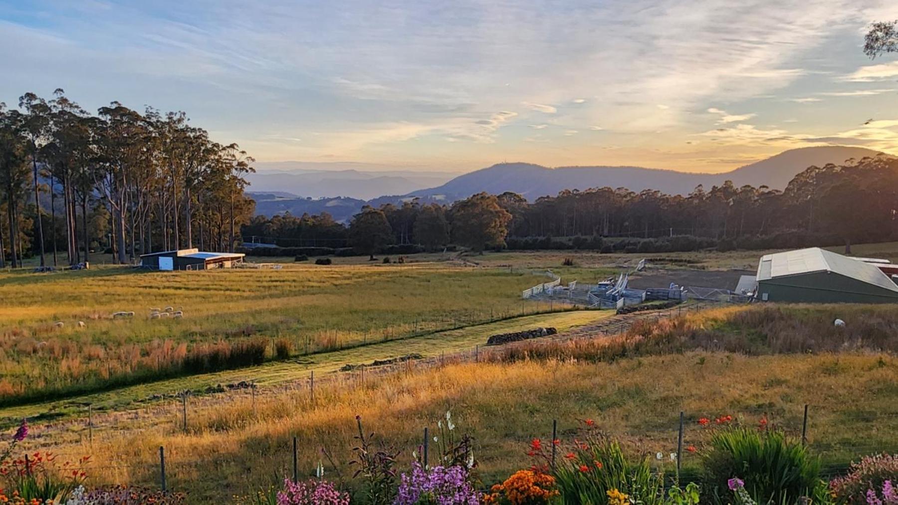 Amaroo with a view set on a 50 Acre Hobby Farm - Property Image 35