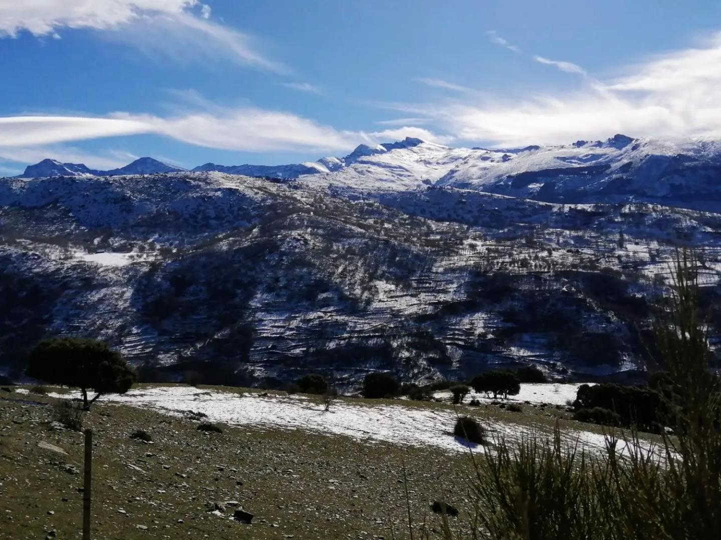 Apartamentos Sierra Nevada Park