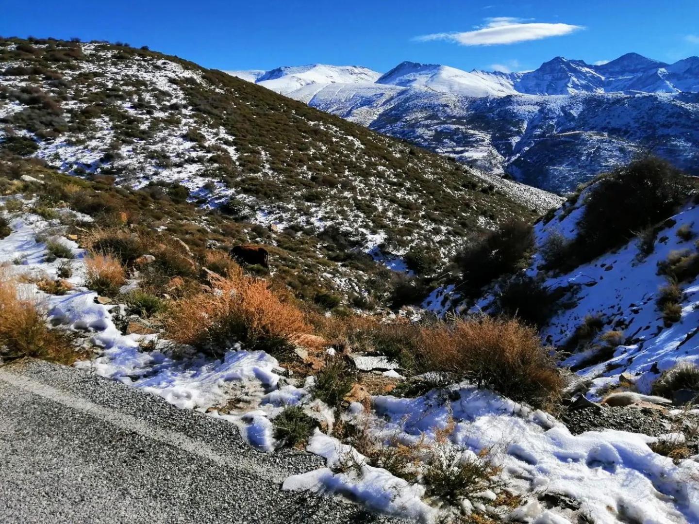 Apartamentos Sierra Nevada Park