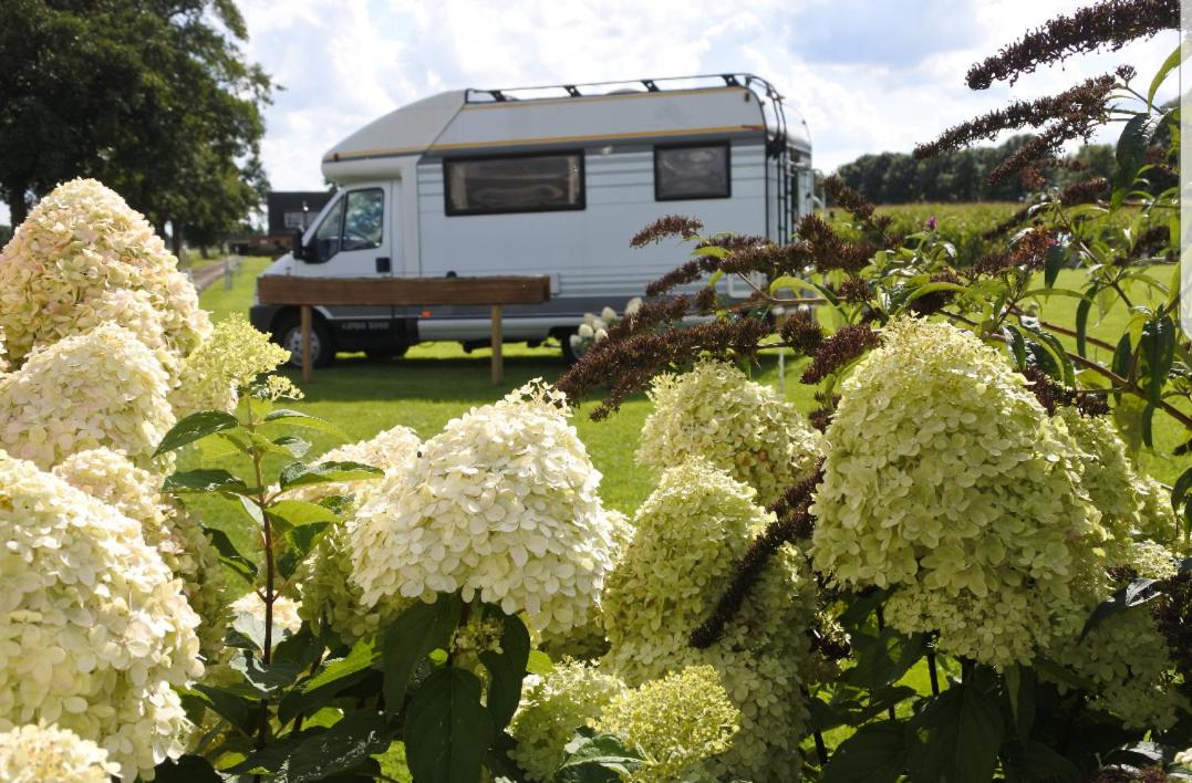 Sfeervol Appartement Het Knooppunt - Property Image 7