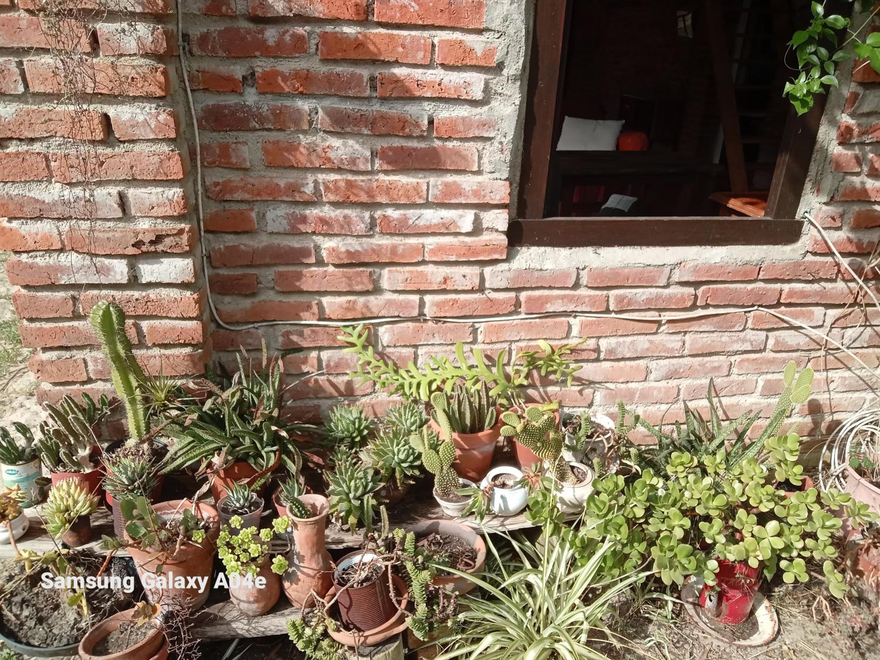 Photo 33