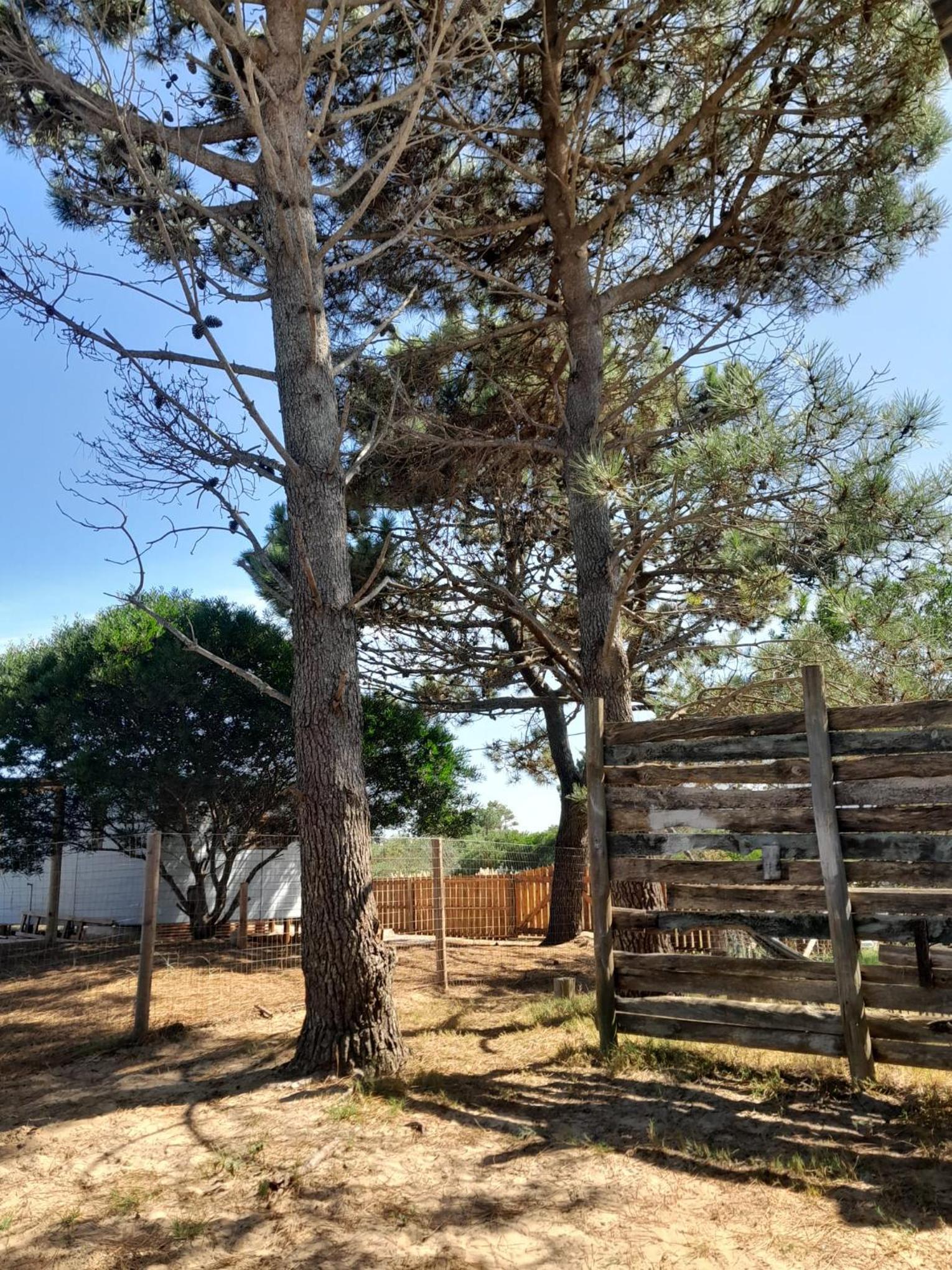 El inti view 3