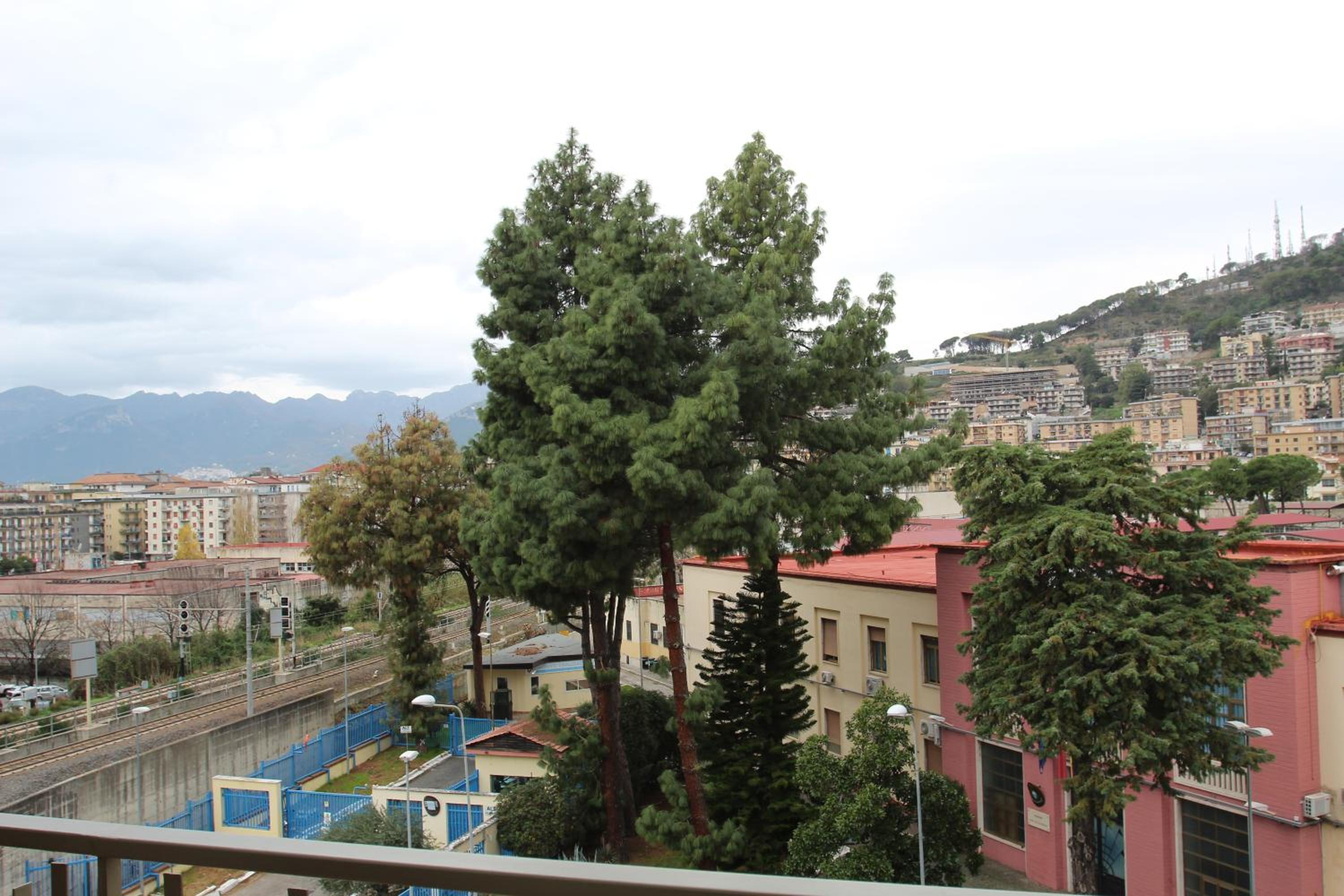Photo 17