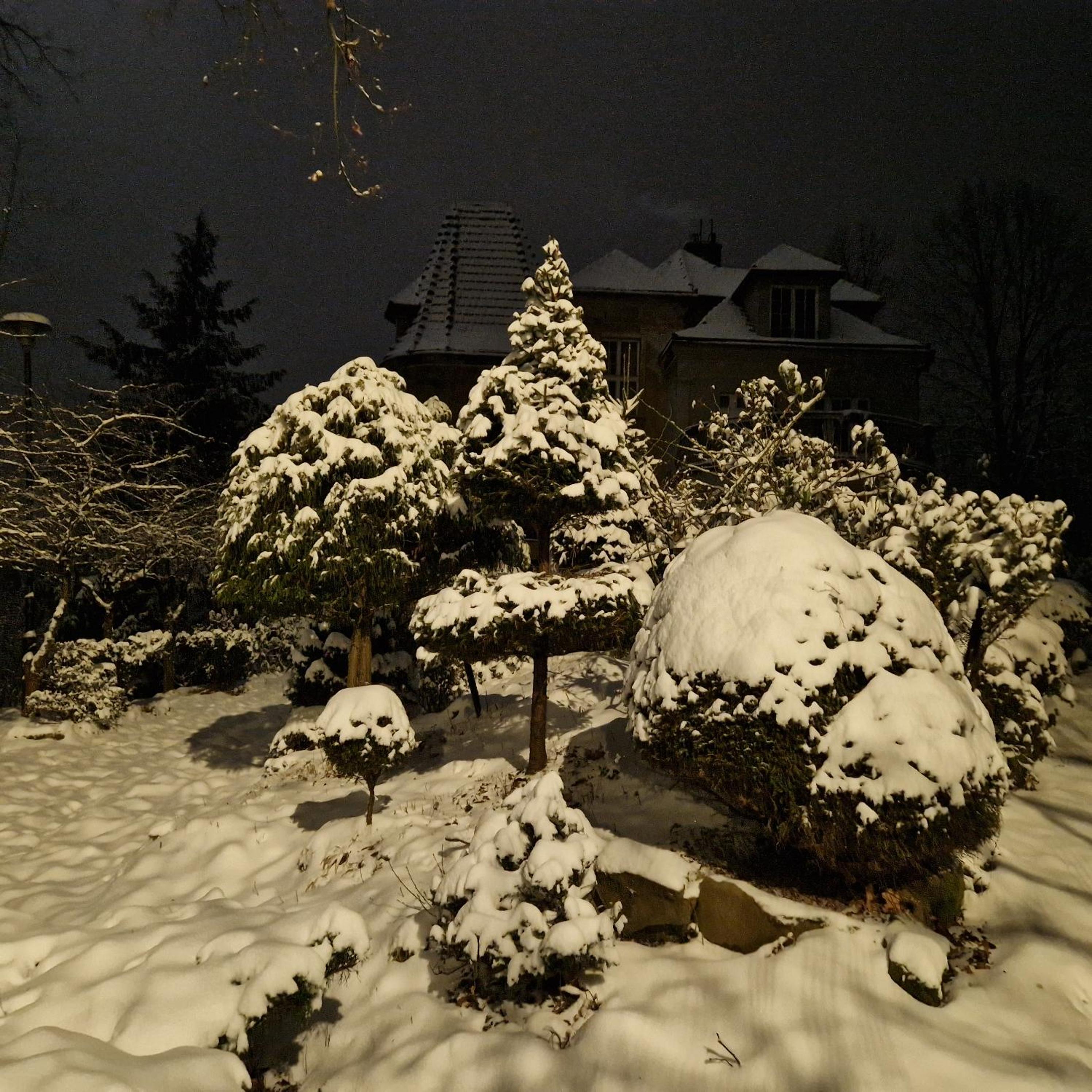 Photo 32