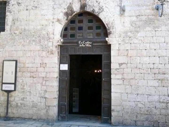 Photo 48