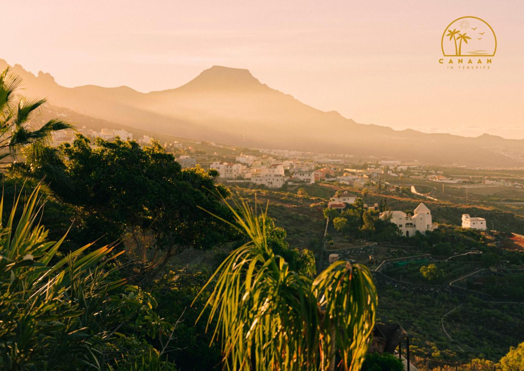 Canaan in Tenerife