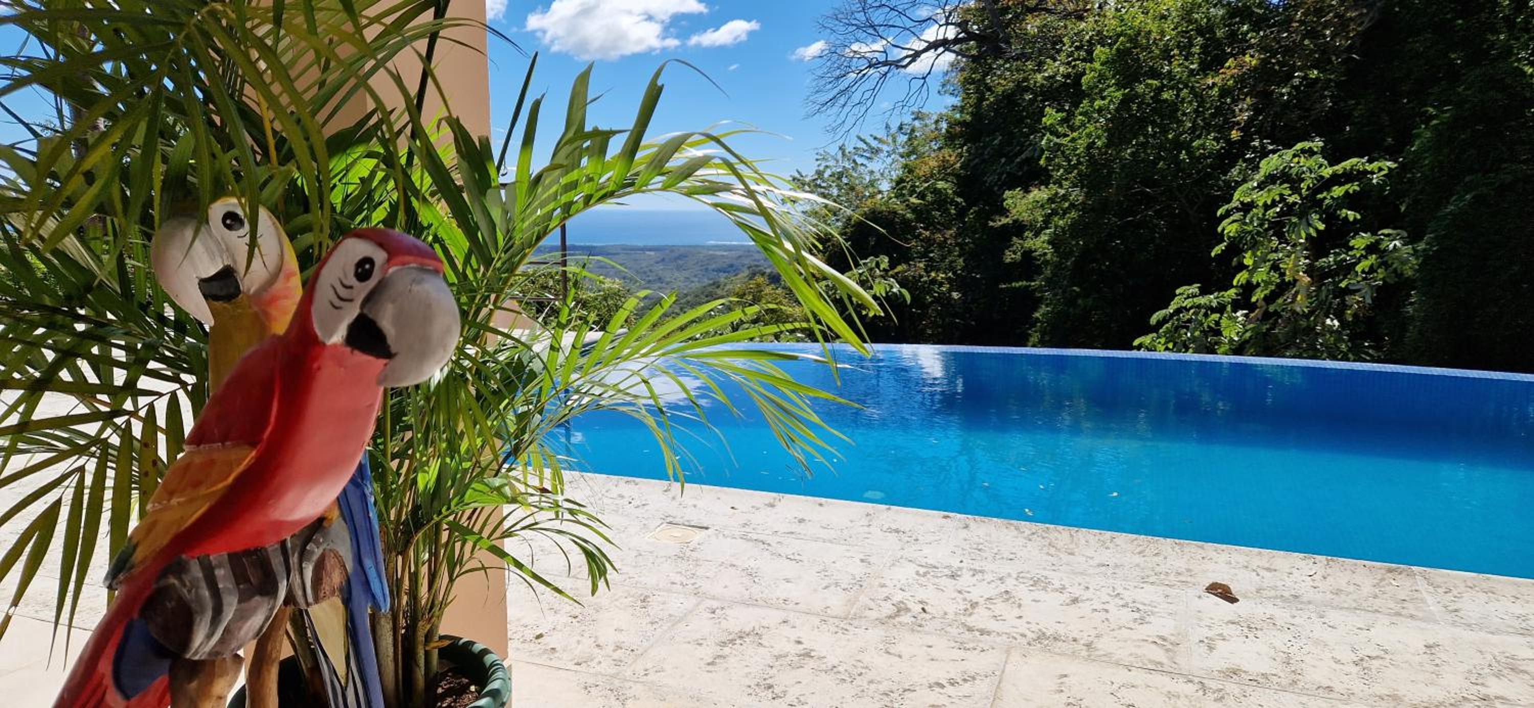 Hotel Vista Mar y Monos - Image 1