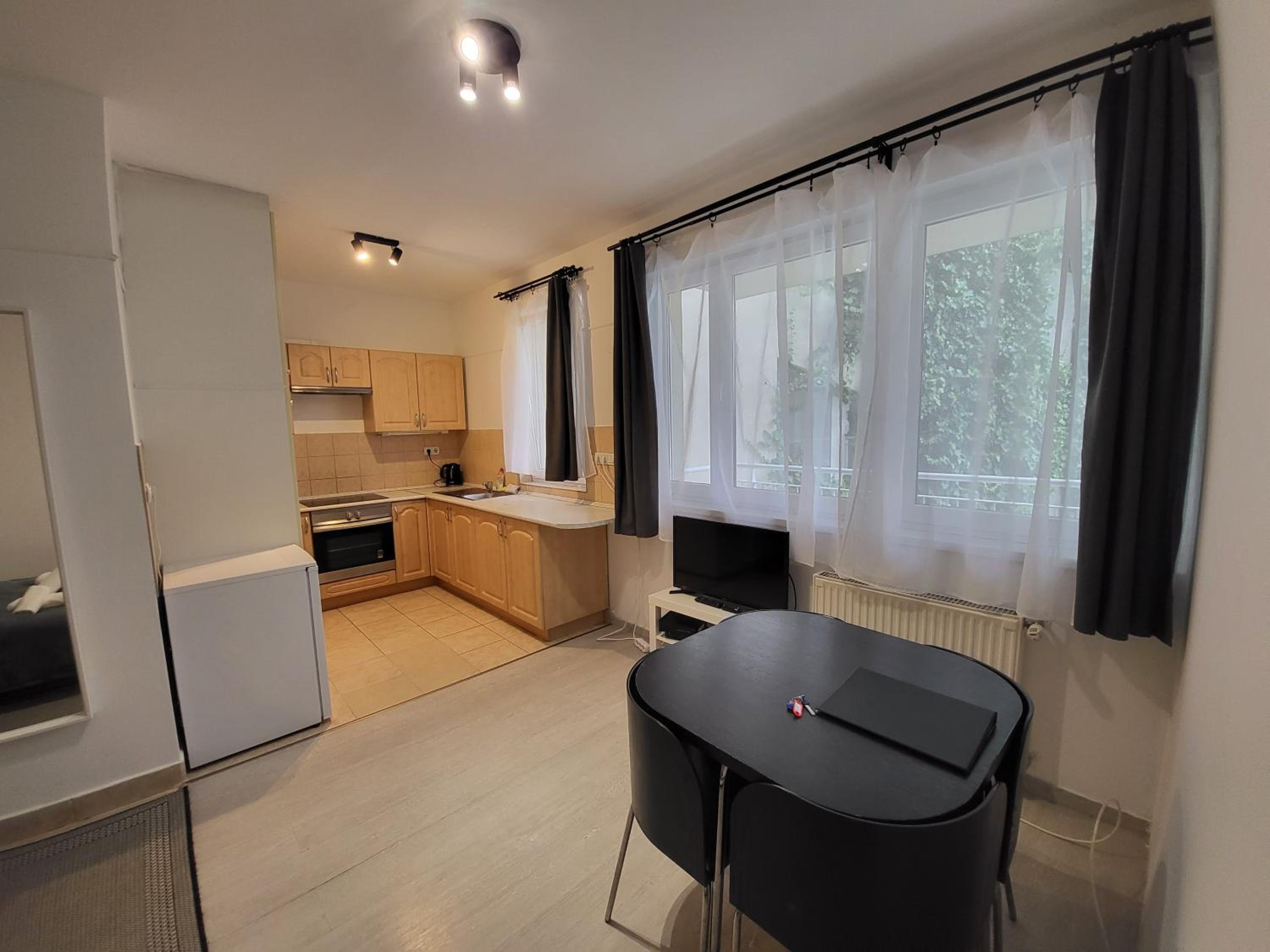 HI Downtown Apartment A308 view 5