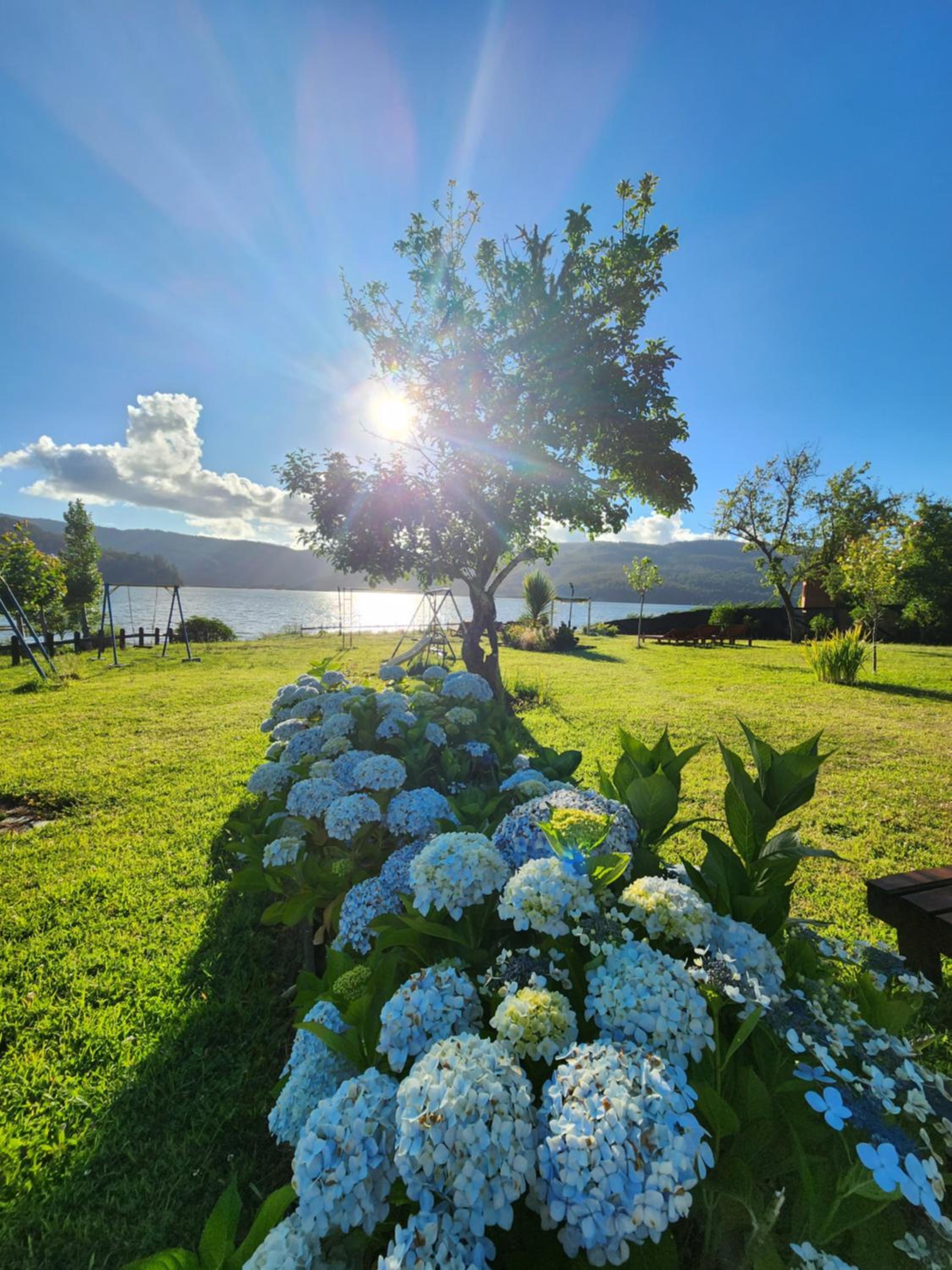 Bordelago Lago Lanalhue