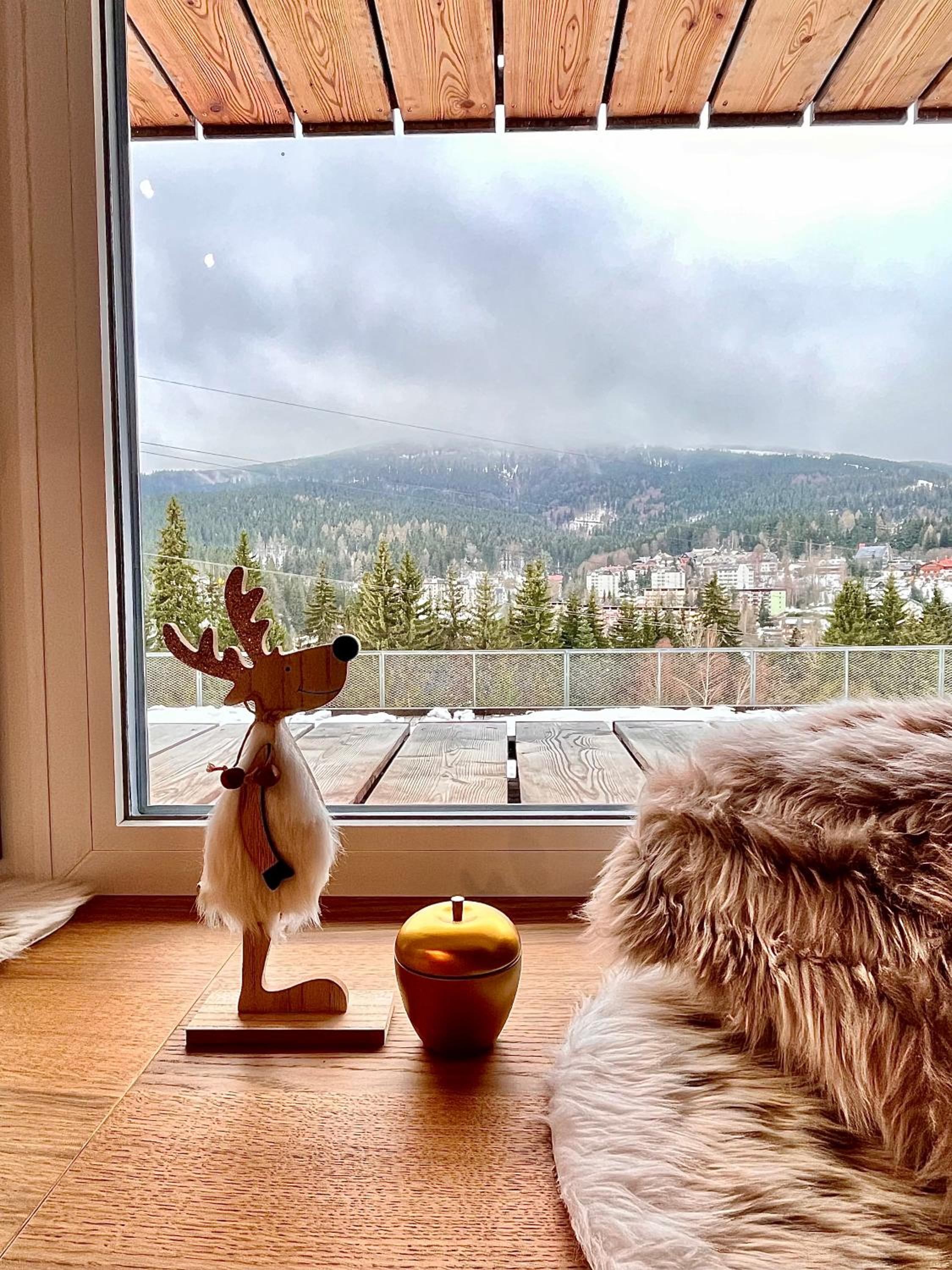 ALPINA Mountain View Apartment