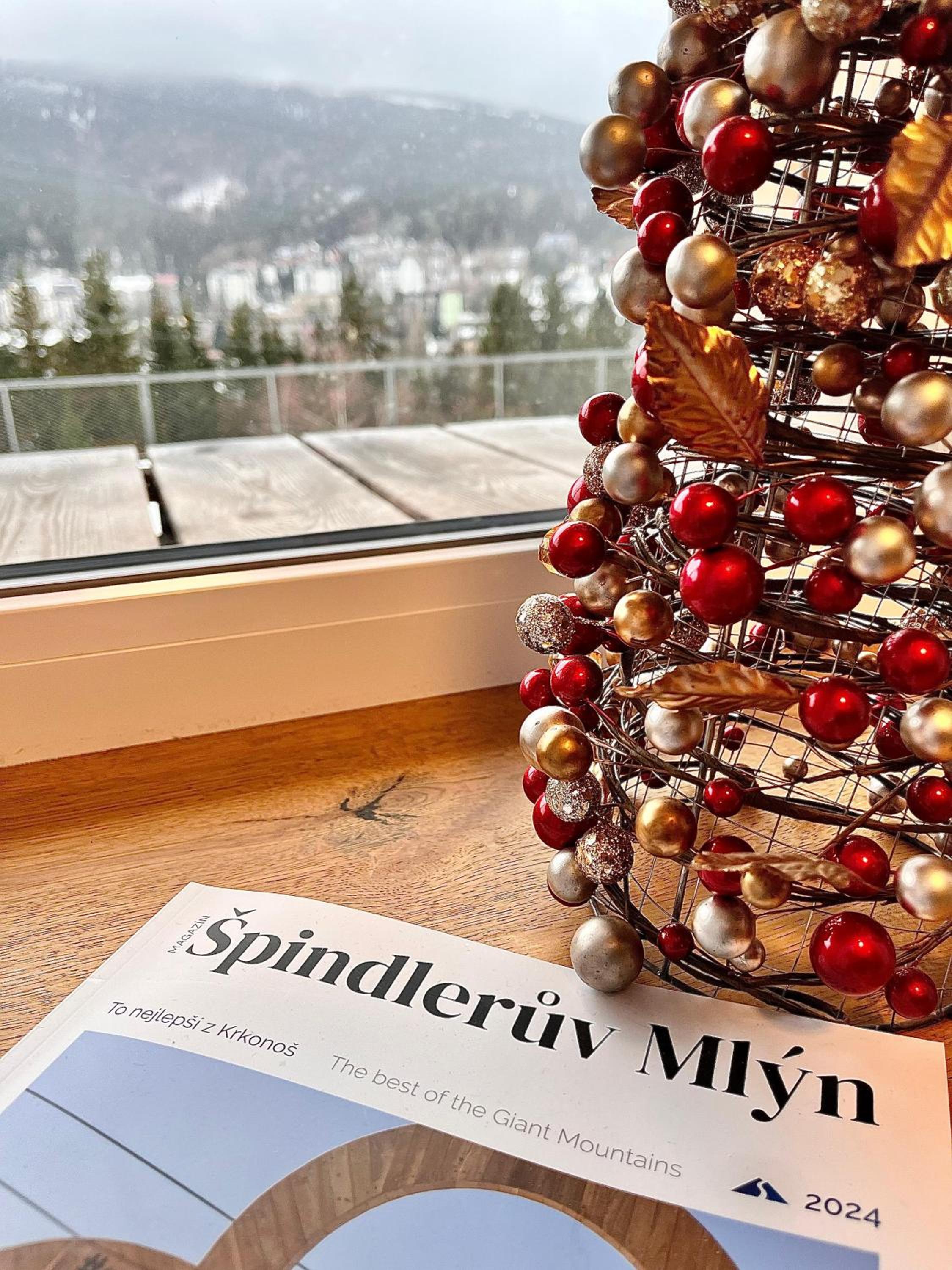ALPINA Mountain View Apartment