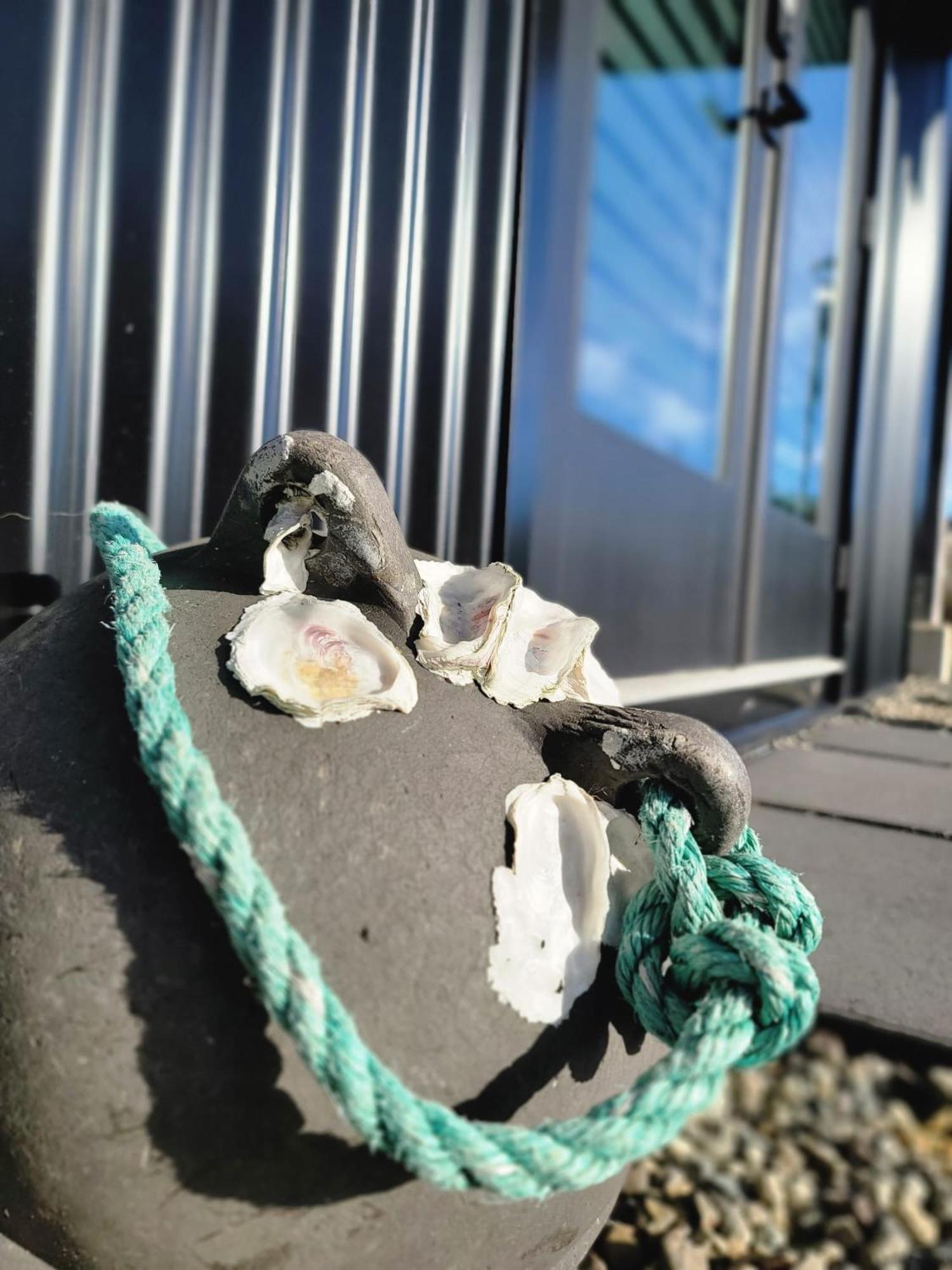 Slack tide suite