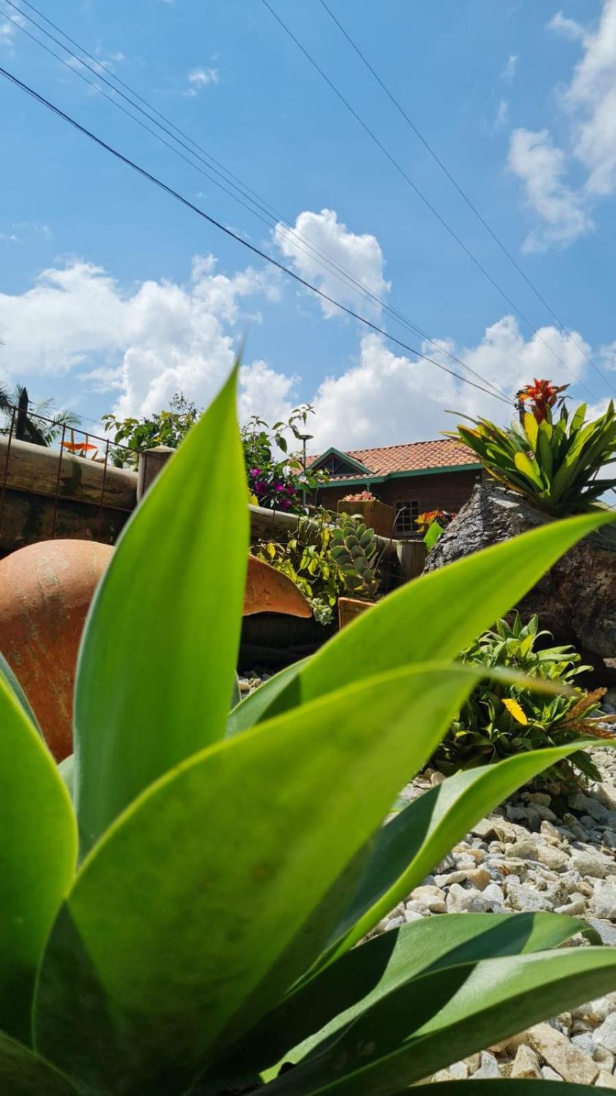 Cabañas Filadelfia view 5