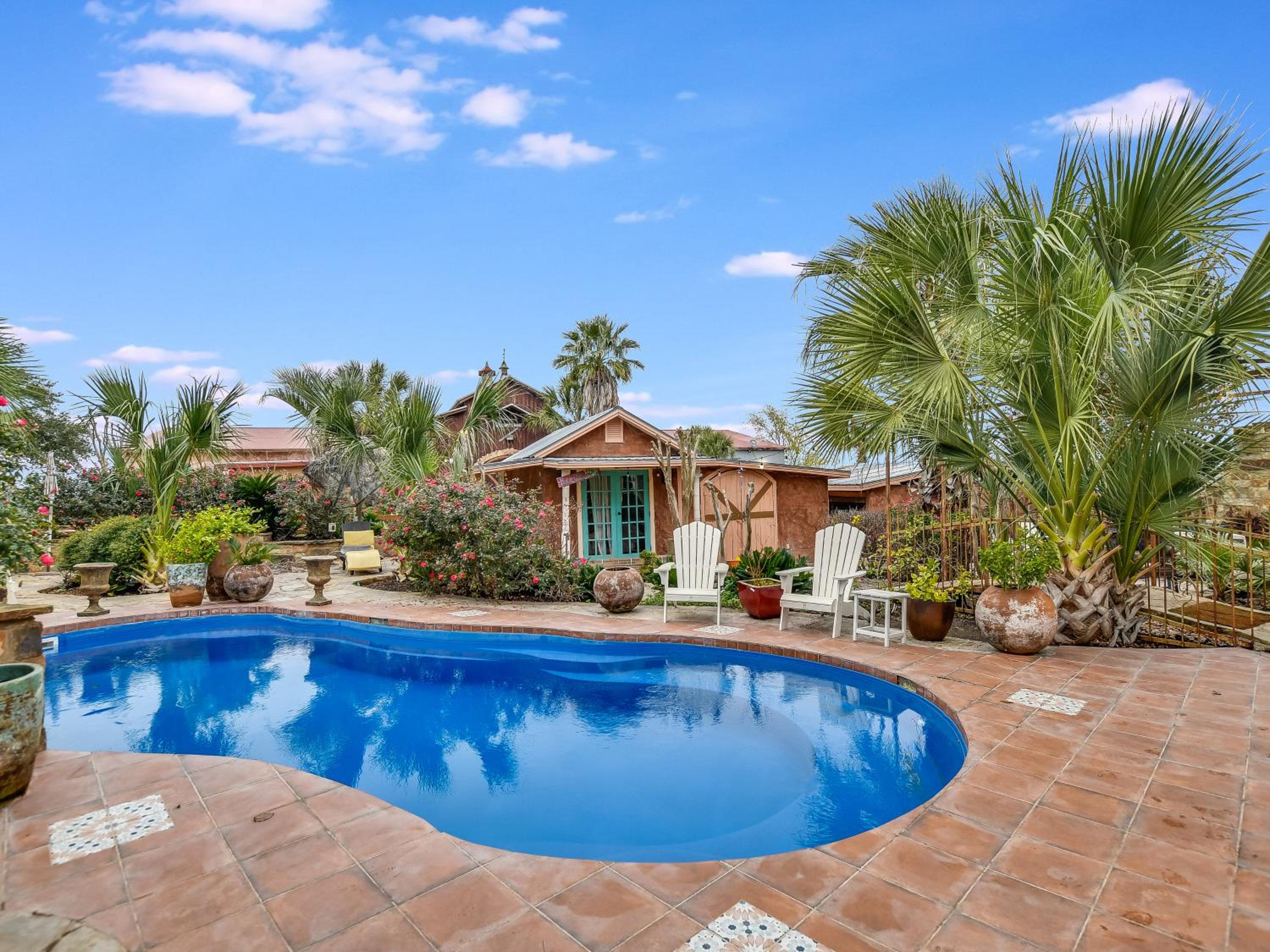 Cozy Oasis in SE Austin view 5