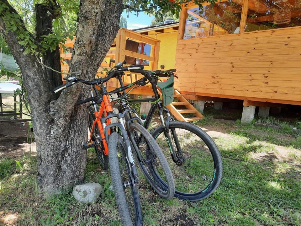 HOSTEL EL LIMON