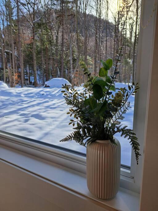 Chalet TERRE en harmonie avec la nature, Tremblant