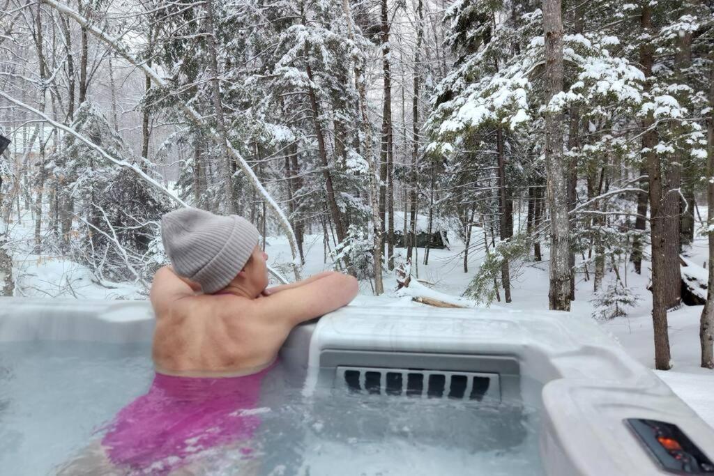 Chalet TERRE en harmonie avec la nature, Tremblant