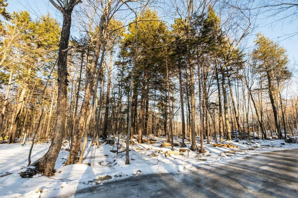 Chalet TERRE en harmonie avec la nature, Tremblant