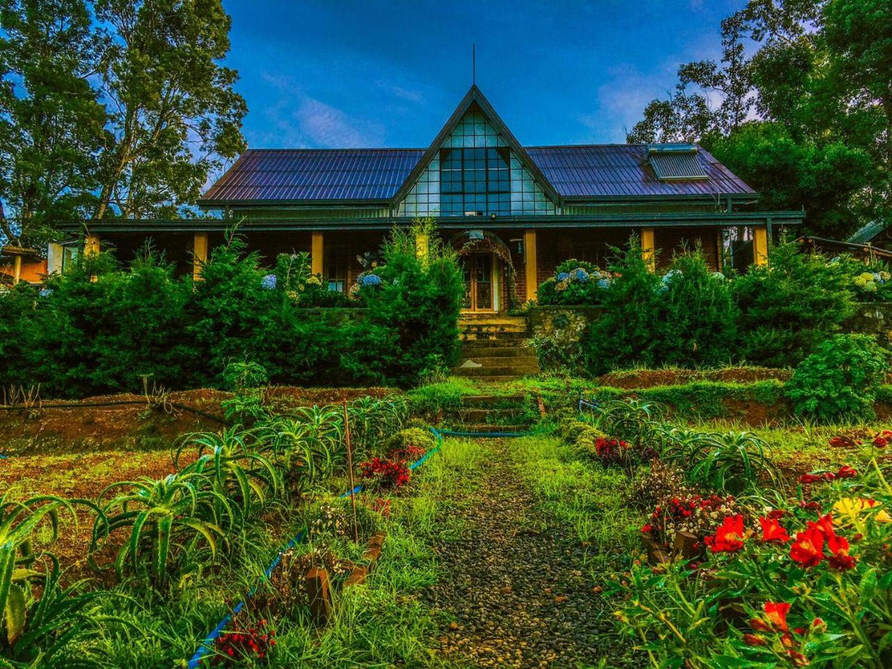 SHADOW MASK BUNGALOW