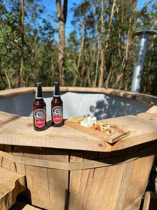 Hermosa cabaña en Valdivia