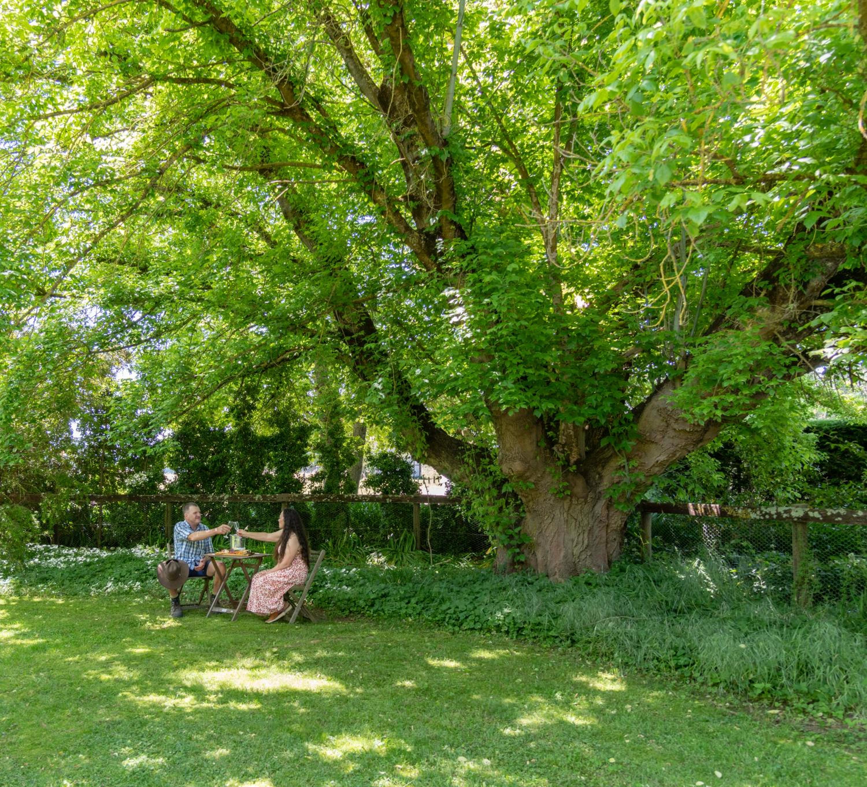 Brookfield Guest House