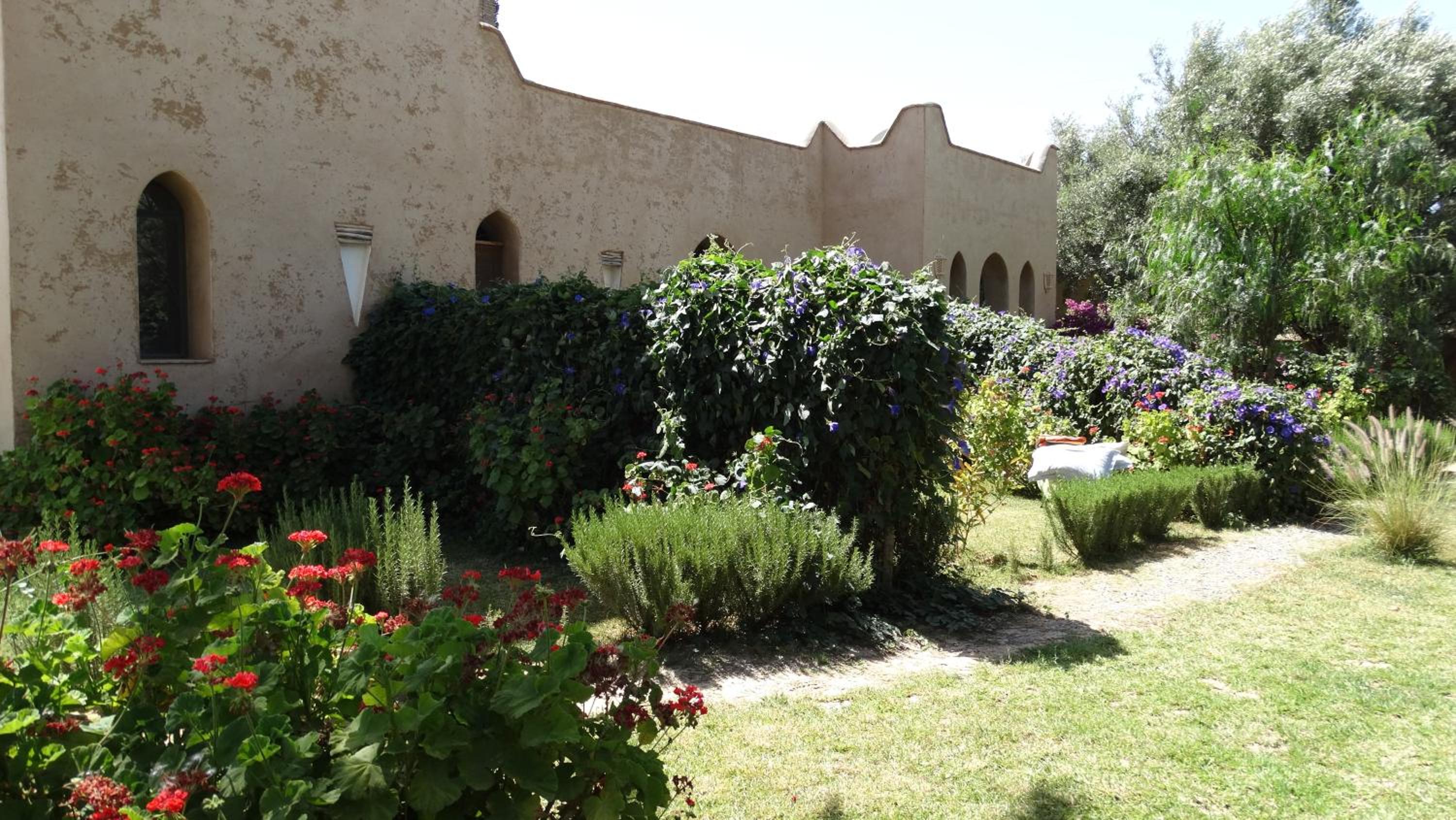 Photo 7