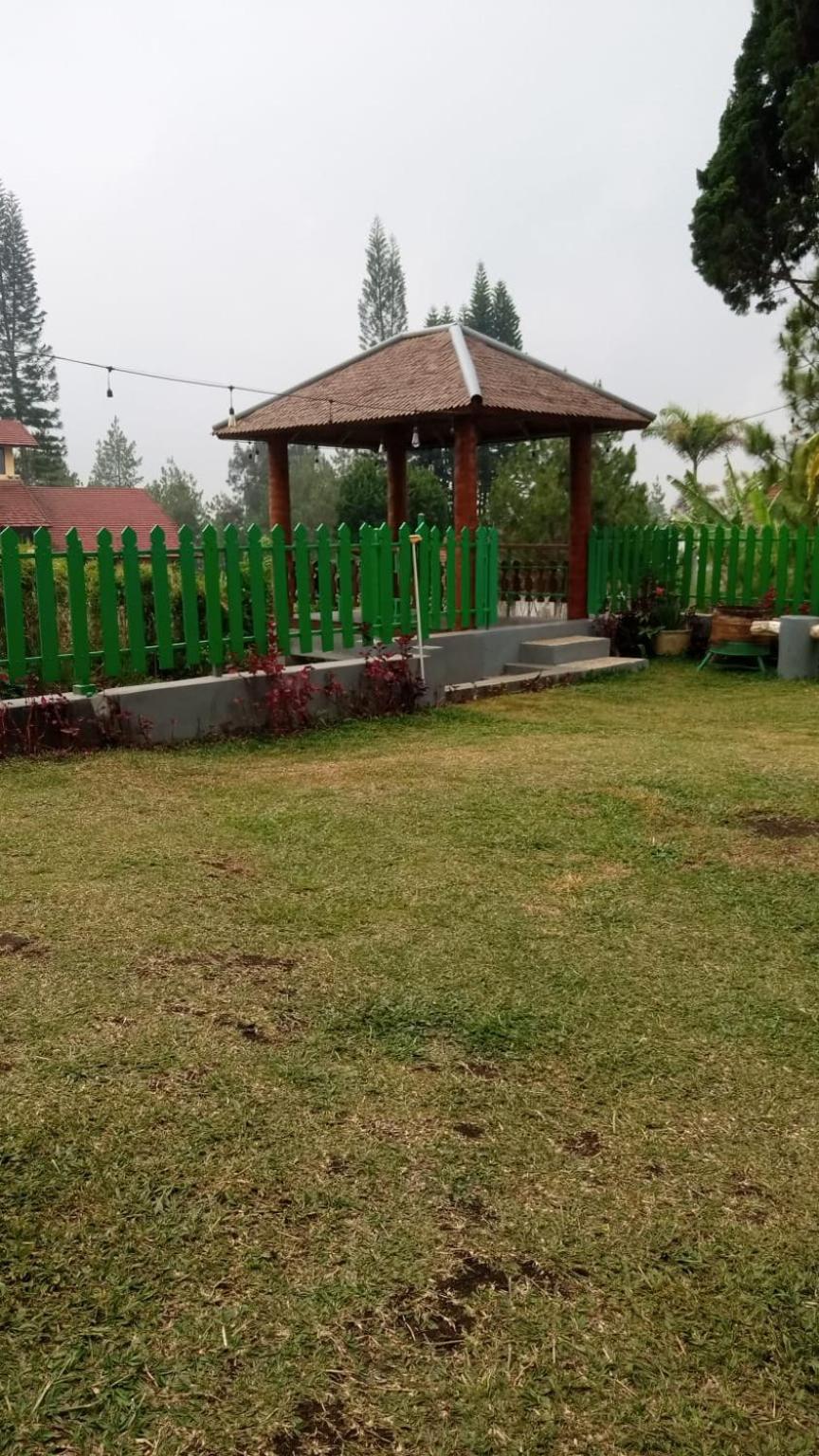 Photo 15
