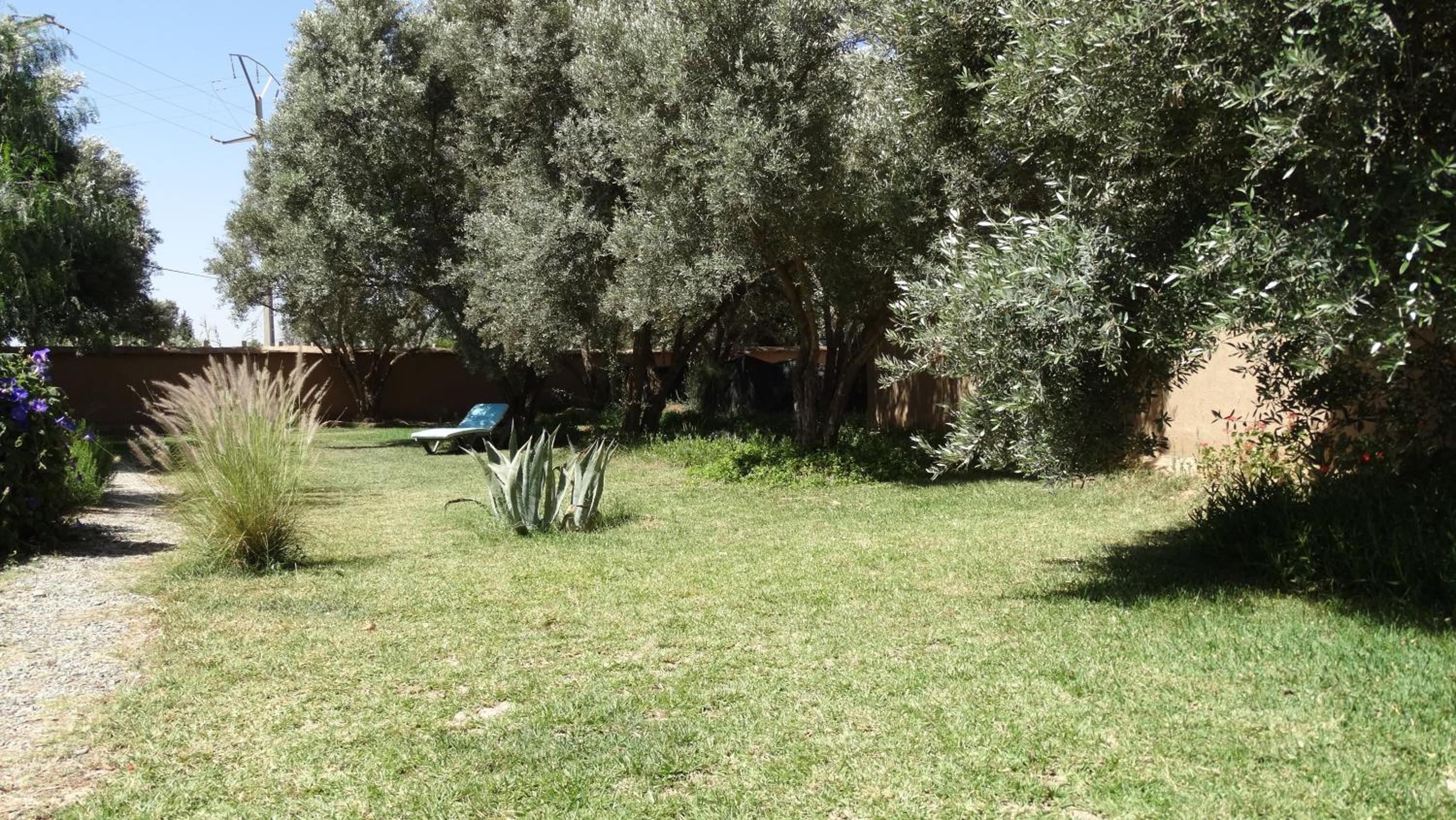 Photo 31