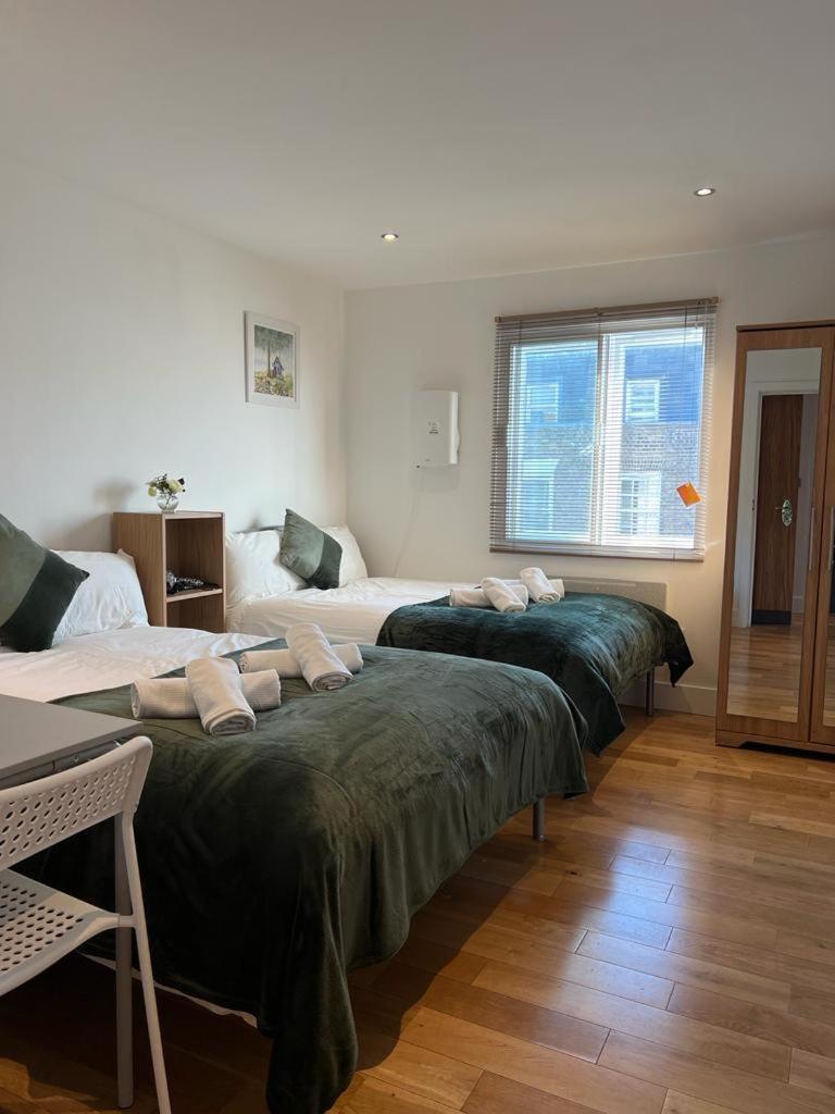 Cosy Private Rooms near Euston Station, Central London