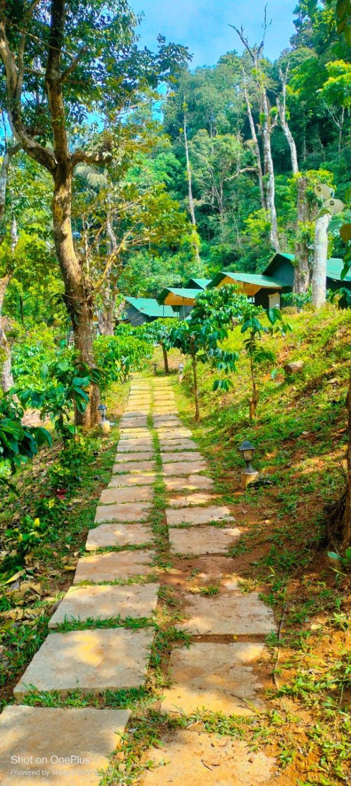 Three Hills Resort & Spa, Coorg