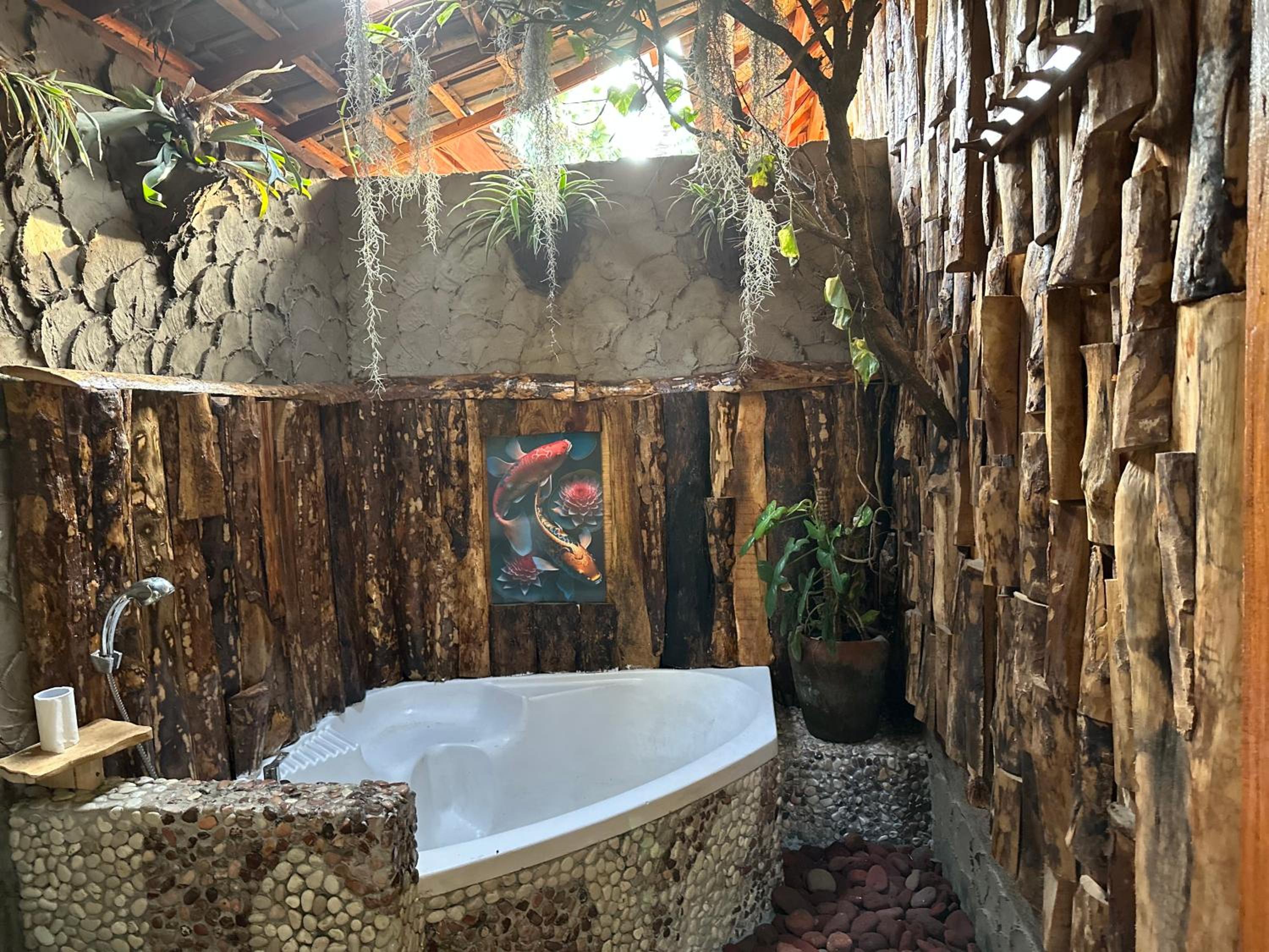 Photo 19