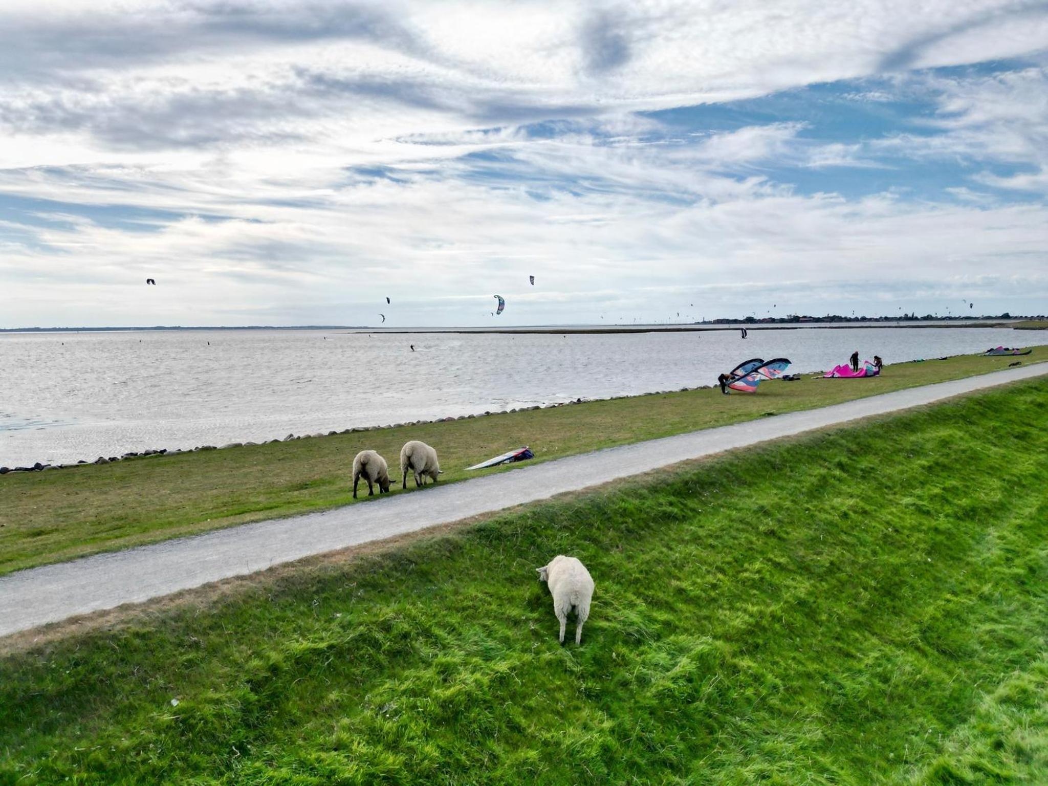 Fehmarn-OstseeferienDeichhuus209