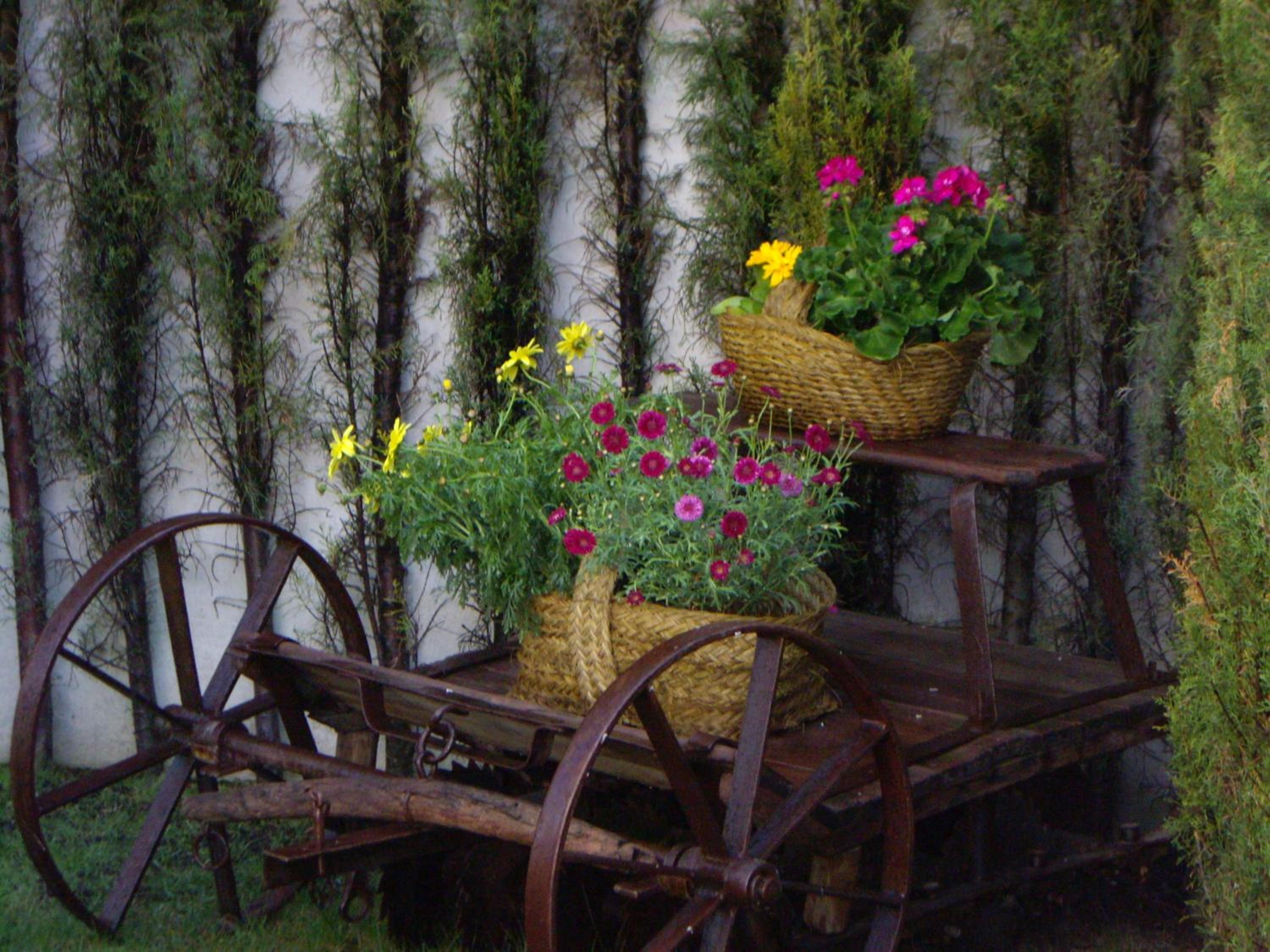 Photo 7