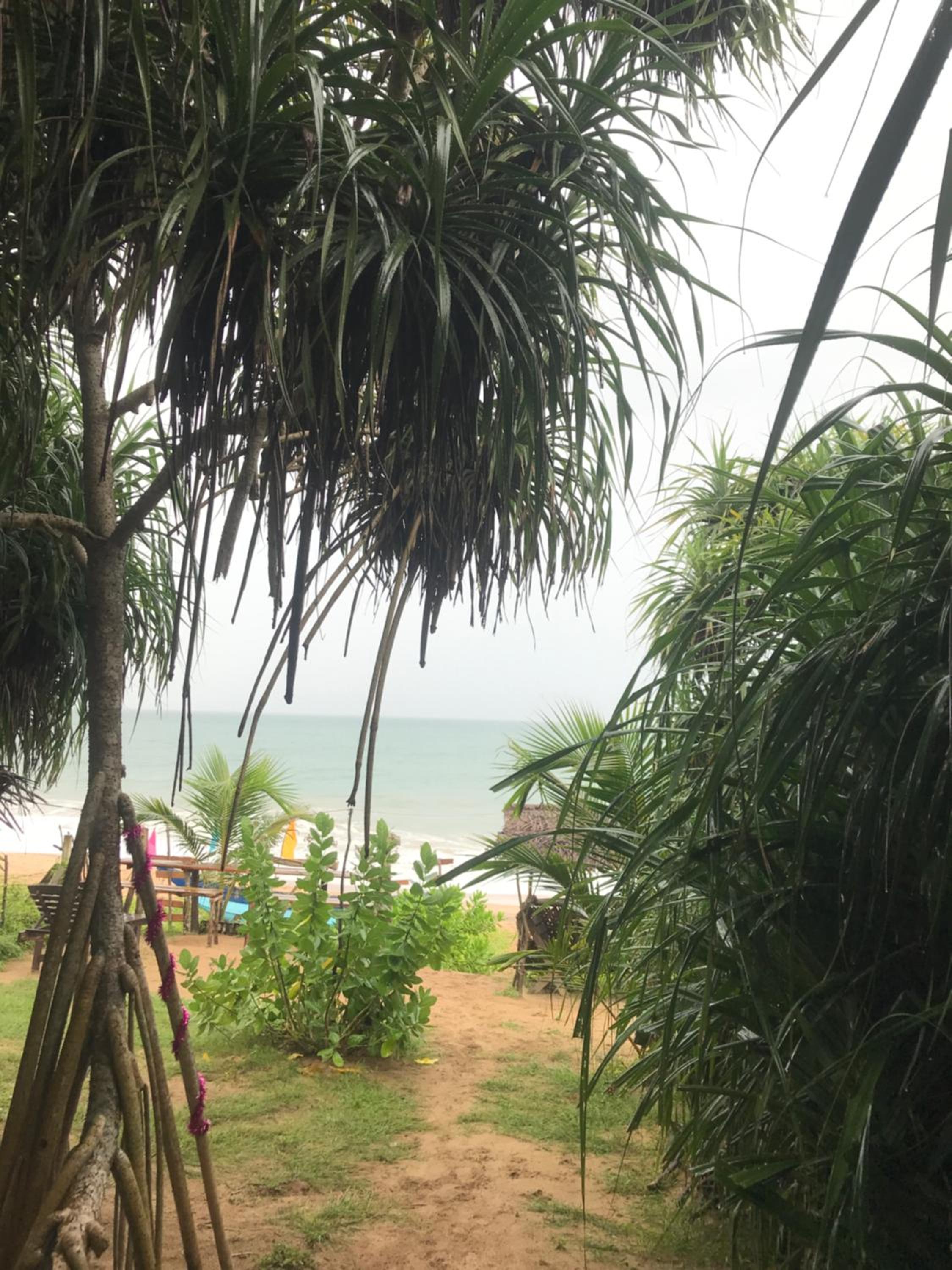 Waves ranna cabana and seafood view 3