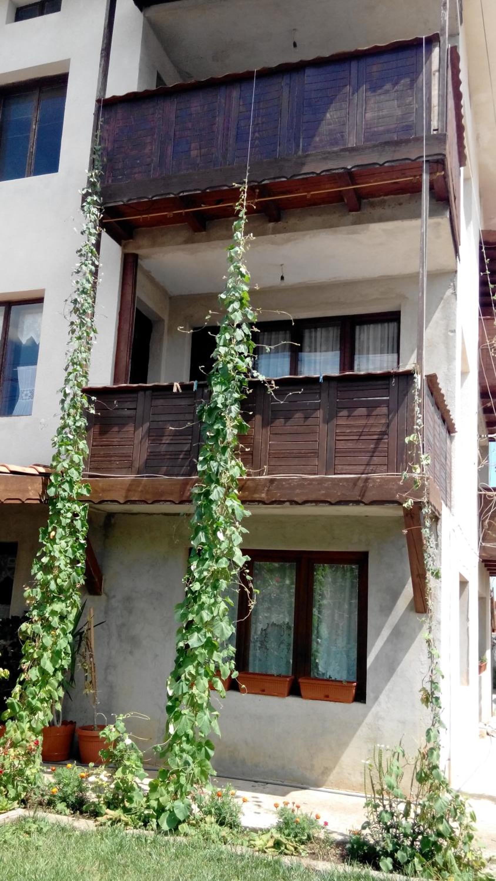 Elida Guest House