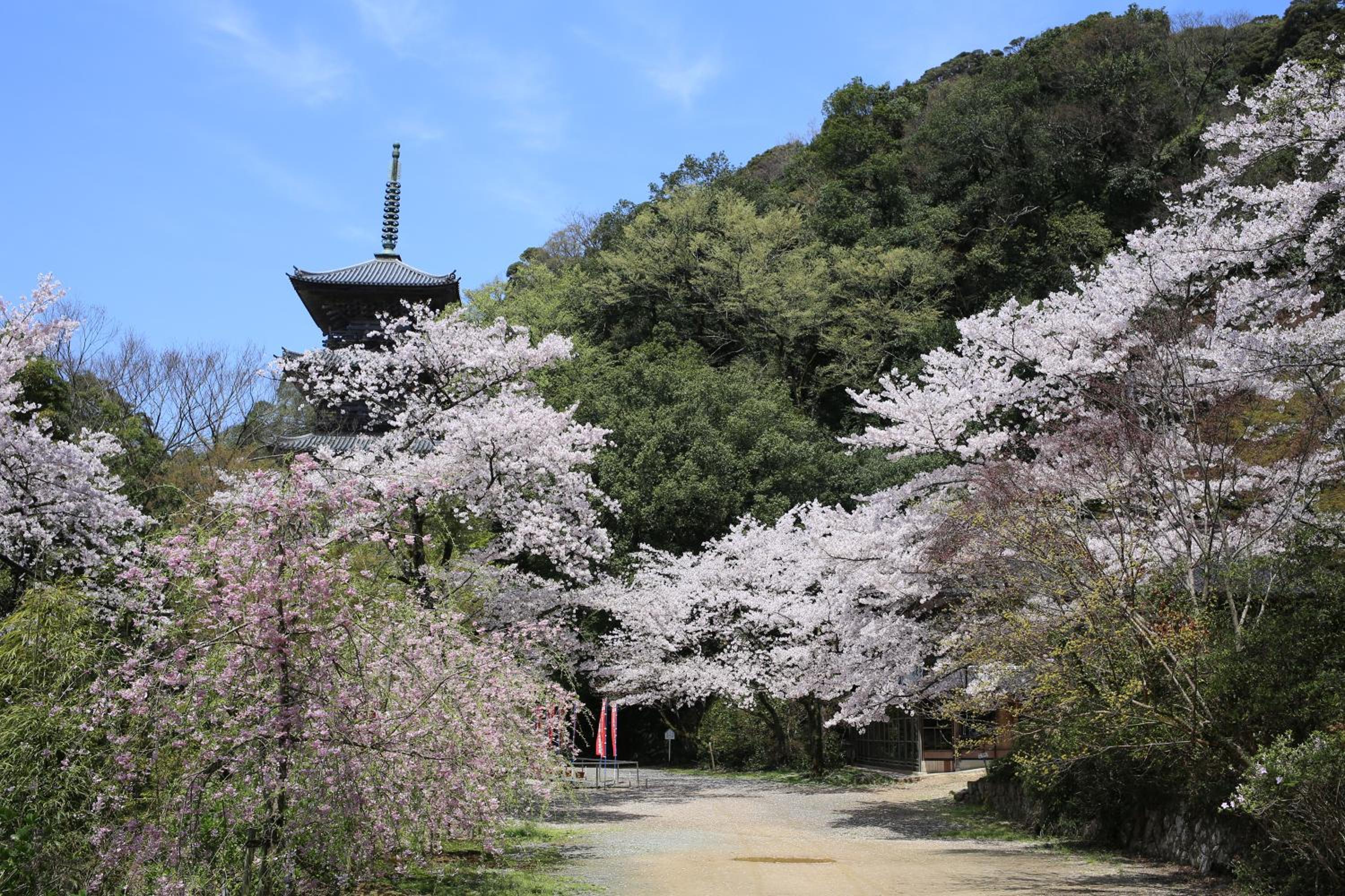 Ryokan Koyokan