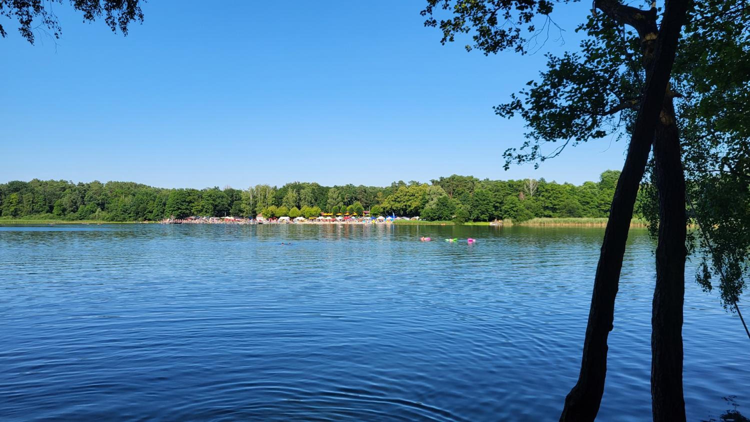 Finnhütte zwischen Wald und See