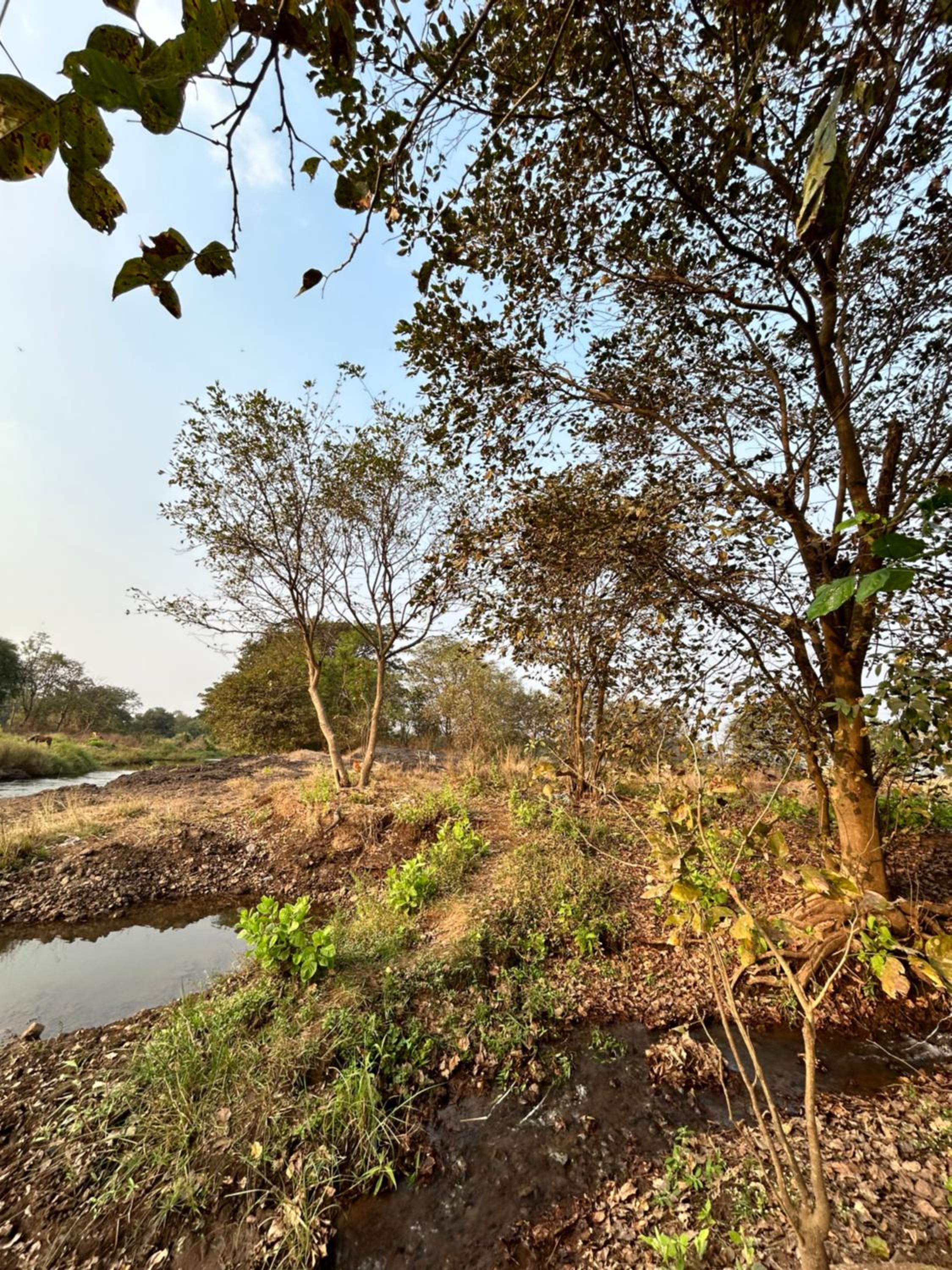 Karjat Hills - Refreshing Farmstay view 4