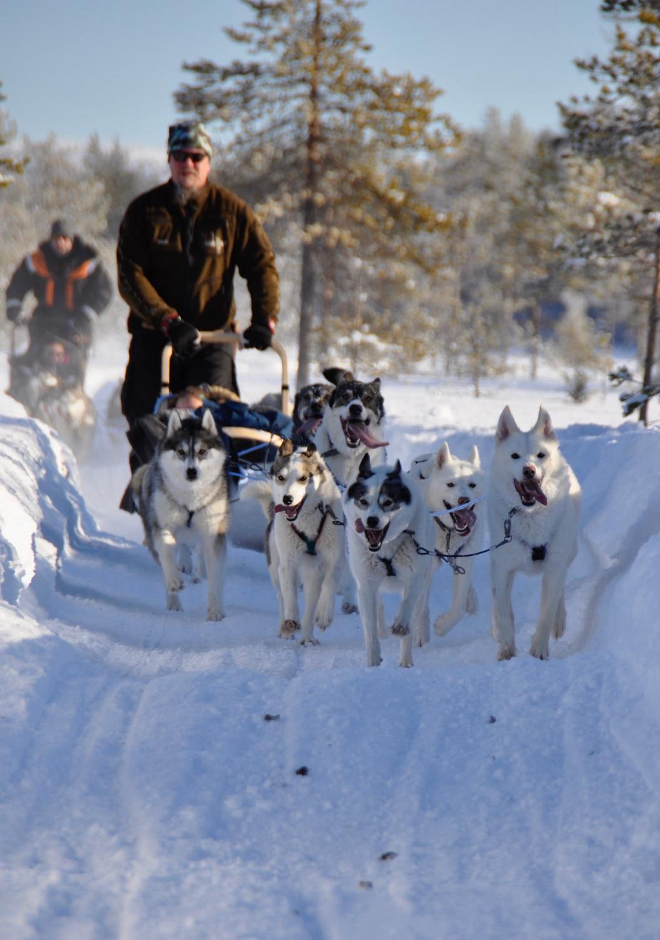 Livo Arctic Resort