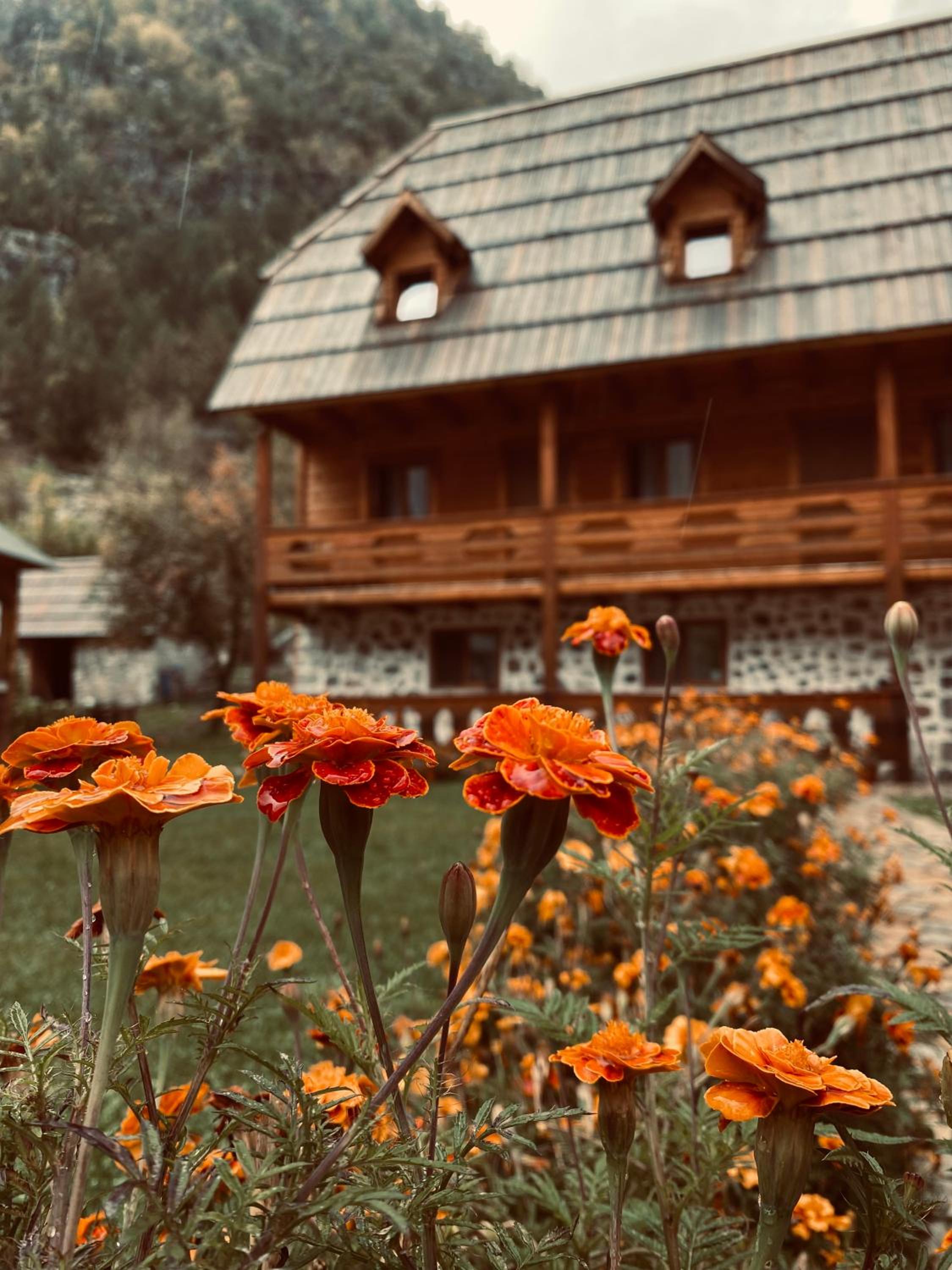 Guesthouse Prrockaj Theth