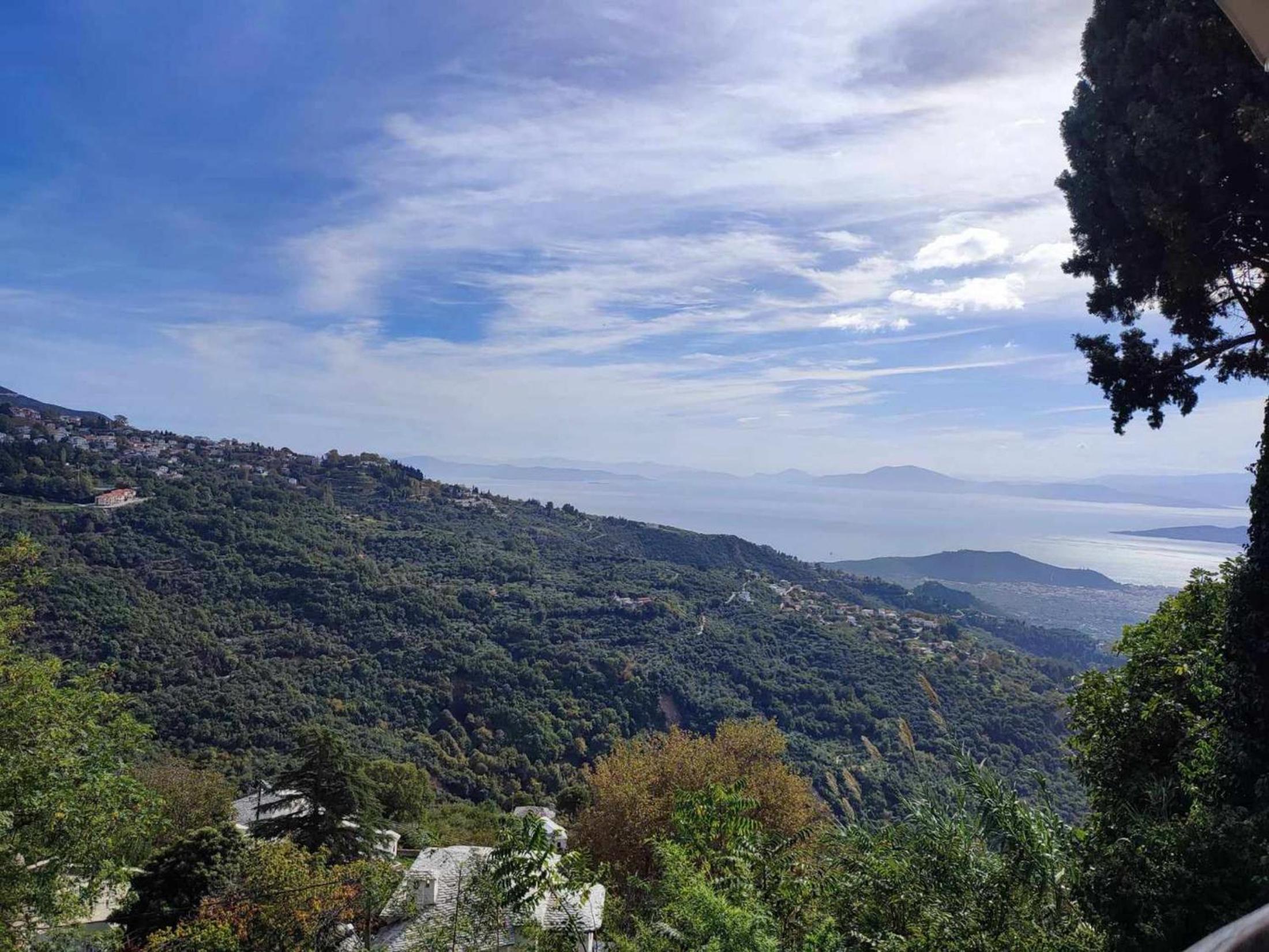 The View House Portaria Pelion view 5