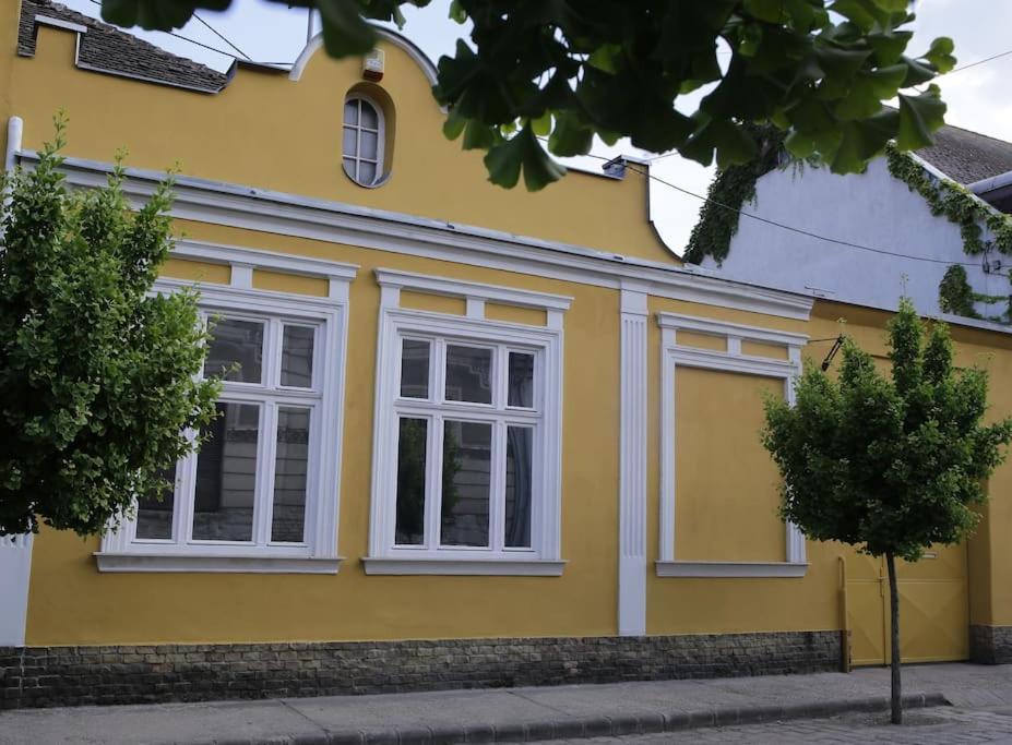URBAN in Old Town (Kecskemét), photo 9