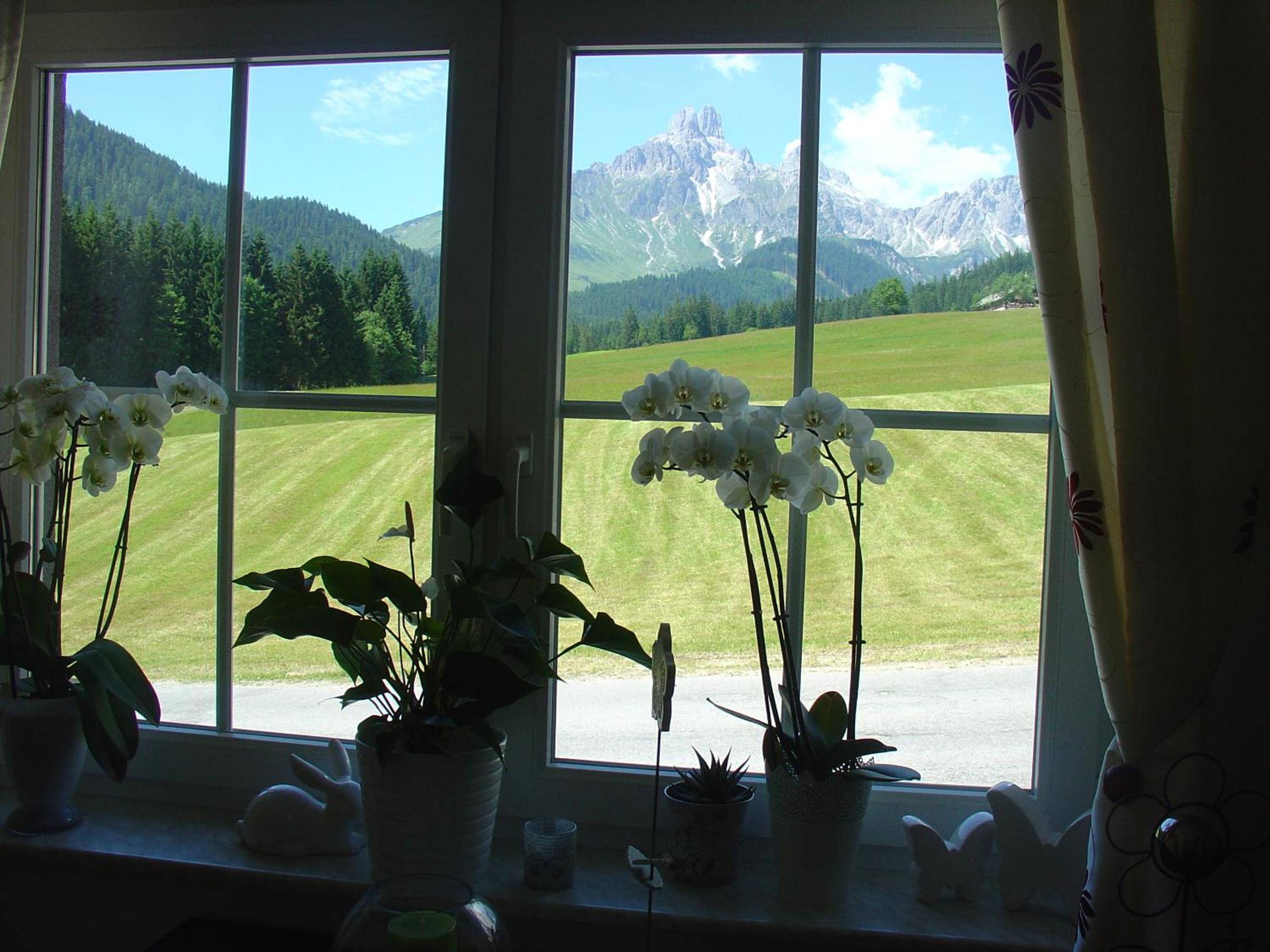 Haus Panorama view 3