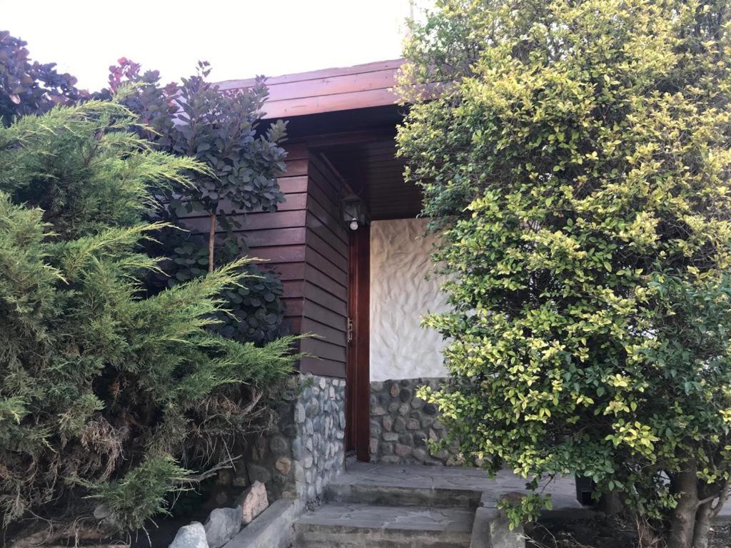 Pucon Antu