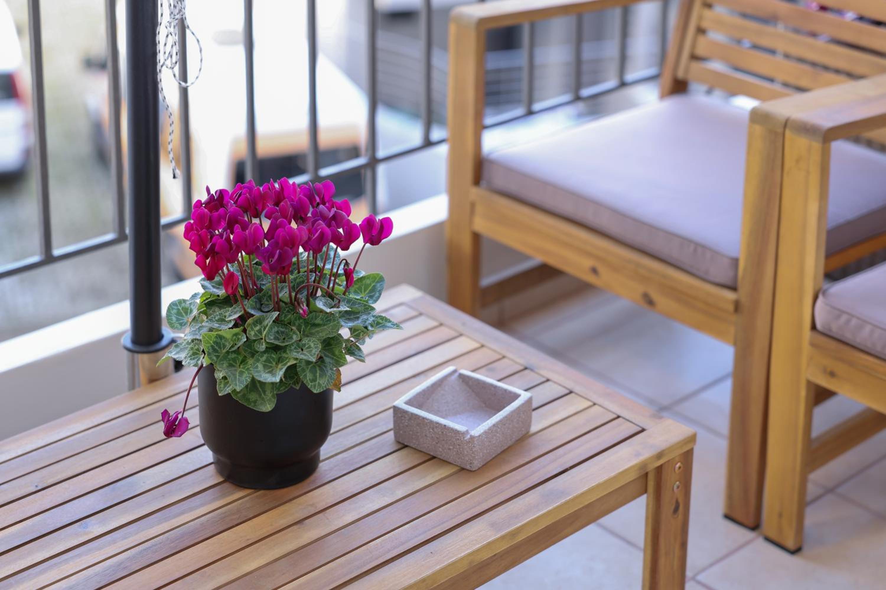 balance & terrace