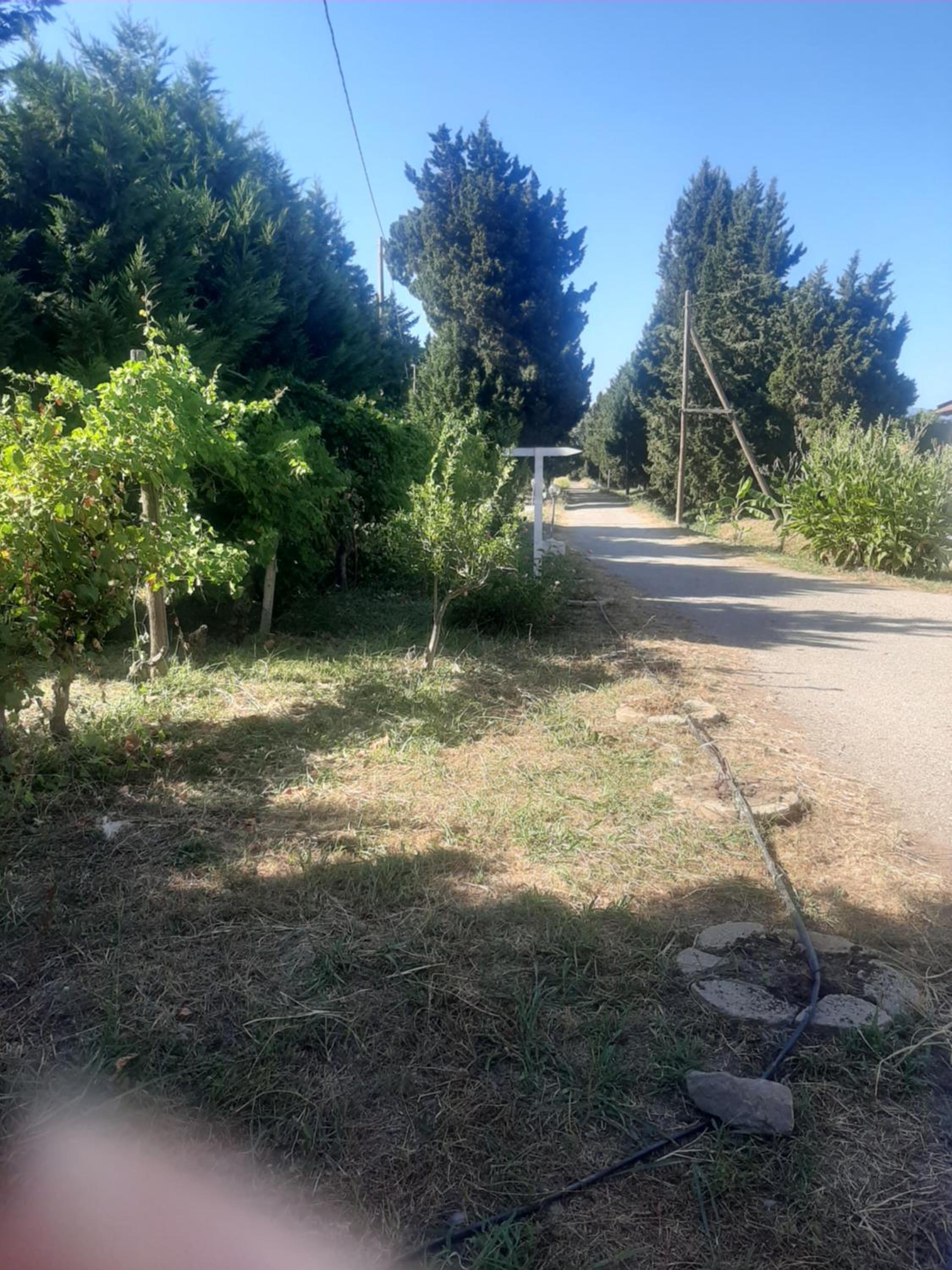 Casale Neocastrum